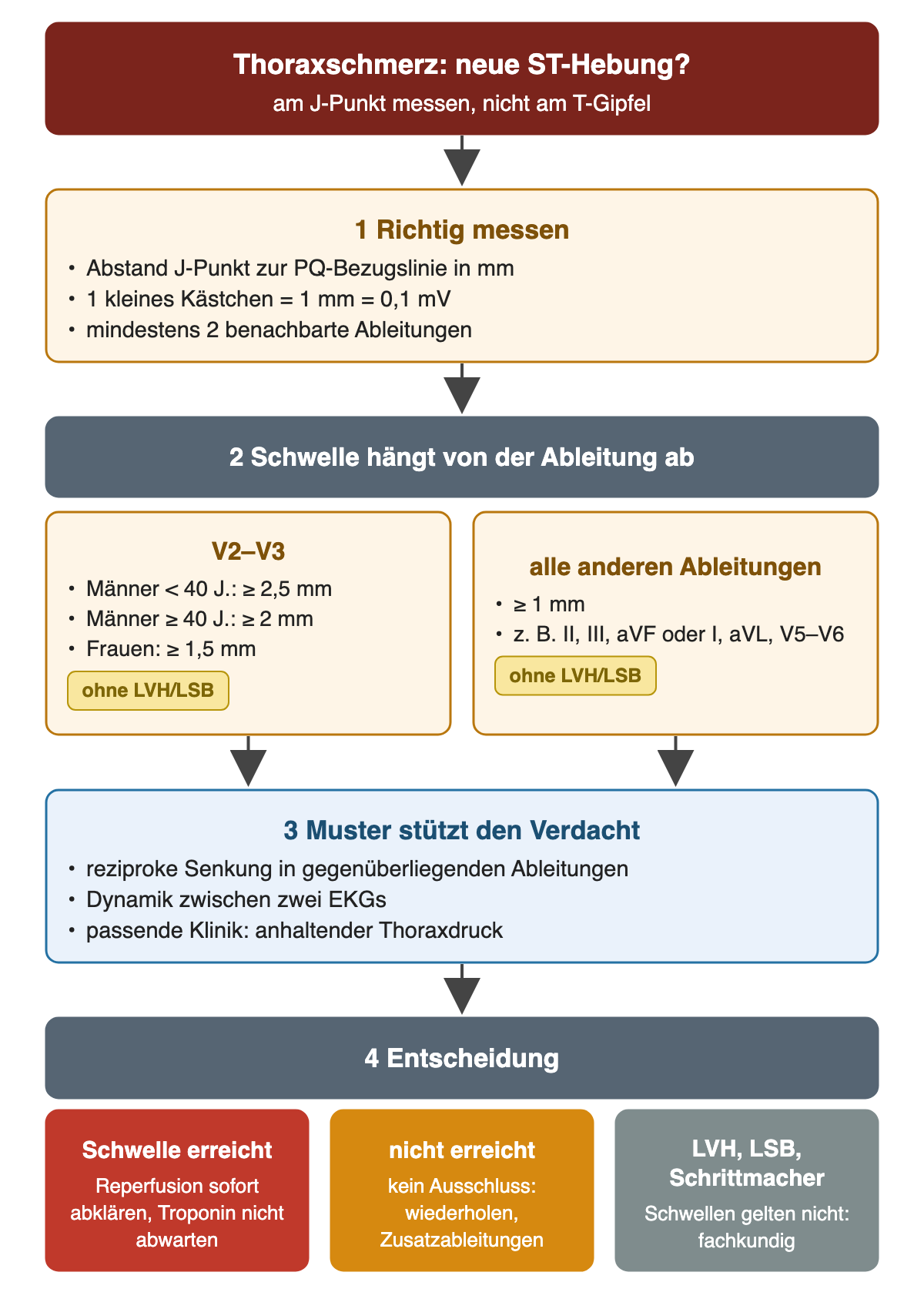 Entscheidungsweg für eine neue ST-Hebung: am J-Punkt gegen die PQ-Bezugslinie in mindestens zwei benachbarten Ableitungen messen; Schwellen in V2–V3 für Männer unter 40 Jahren 2,5 mm, ab 40 Jahren 2 mm, für Frauen 1,5 mm, in anderen Ableitungen 1 mm; reziproke Senkung, Dynamik und Klinik stützen; Ergebnis Reperfusion sofort, Wiederholung bei nicht erreichter Schwelle oder fachkundige Beurteilung bei LVH, LSB oder Schrittmacher.