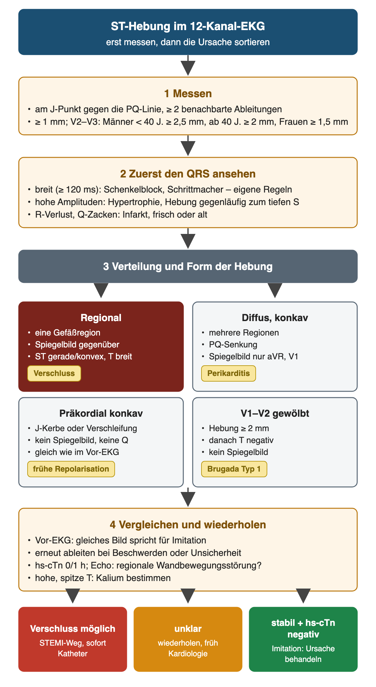 Prüfweg ST-Hebung: Schritt 1 messen am J-Punkt gegen die PQ-Linie in mindestens 2 benachbarten Ableitungen, ab 1 mm, in V2 bis V3 bei Männern unter 40 Jahren ab 2,5 mm, ab 40 Jahren ab 2 mm, bei Frauen ab 1,5 mm; Schritt 2 QRS: breit ab 120 ms Schenkelblock oder Schrittmacher mit eigenen Regeln, hohe Amplituden Hypertrophie mit Hebung gegenläufig zum tiefen S, R-Verlust oder Q-Zacken Infarkt; Schritt 3 Verteilung und Form in vier Feldern: regional mit Spiegelbild, gerader oder konvexer ST und breiter T als Verschluss, diffus konkav mit PQ-Senkung und Spiegelbild nur in aVR und V1 als Perikarditis, präkordial konkav mit J-Kerbe ohne Spiegelbild und Q, gleich wie im Vor-EKG als frühe Repolarisation, V1 bis V2 gewölbt ab 2 mm mit negativer T als Brugada Typ 1; Schritt 4 Vor-EKG, erneute Ableitung, hs-Troponin 0 und 1 Stunde, Echo, Kalium bei hohen spitzen T; Ergebnis Verschluss möglich STEMI-Weg, unklar wiederholen, stabil mit negativem hs-Troponin Imitation