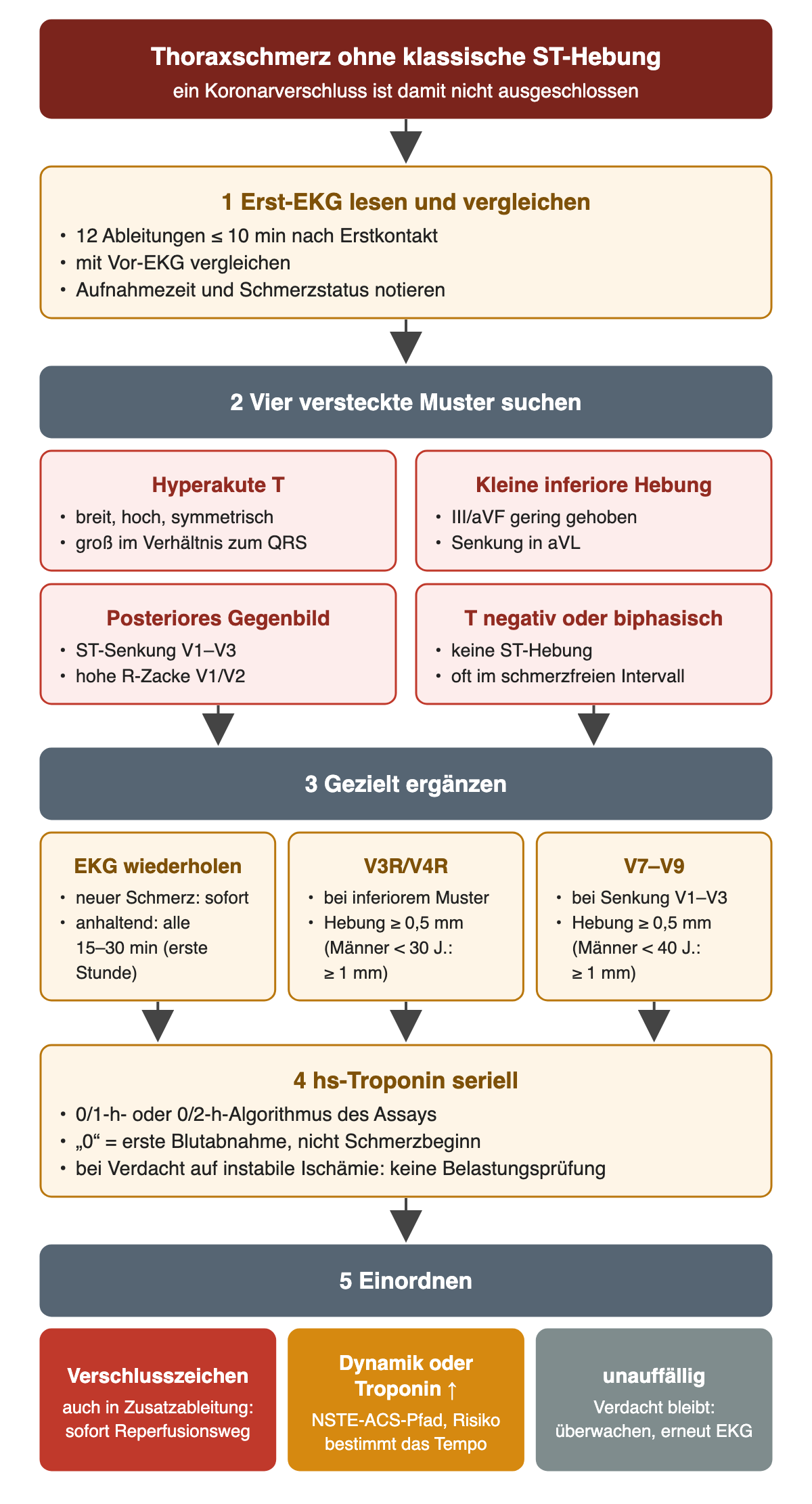 Ablauf bei Thoraxschmerz ohne klassische ST-Hebung in fünf Schritten: 1 Erst-EKG mit zwölf Ableitungen innerhalb von 10 Minuten nach Erstkontakt, Vergleich mit Vor-EKG, Aufnahmezeit und Schmerzstatus notieren; 2 vier versteckte Muster: hyperakute T, kleine inferiore Hebung mit Senkung in aVL, posteriores Gegenbild mit ST-Senkung V1–V3 und hoher R-Zacke, negative oder biphasische T im schmerzfreien Intervall; 3 gezielt ergänzen: EKG bei neuem Schmerz sofort und bei anhaltenden Beschwerden alle 15–30 Minuten in der ersten Stunde wiederholen, V3R/V4R und V7–V9 mit Hebung ab 0,5 mm (Männer unter 30 beziehungsweise unter 40 Jahren ab 1 mm); 4 hs-Troponin seriell nach 0/1-h- oder 0/2-h-Algorithmus, keine Belastungsprüfung; 5 Einordnung: Verschlusszeichen auch in Zusatzableitung führt sofort zum Reperfusionsweg, Dynamik oder Troponinanstieg zum NSTE-ACS-Pfad, unauffälliger Befund bei bleibendem Verdacht zu Überwachung und erneutem EKG
