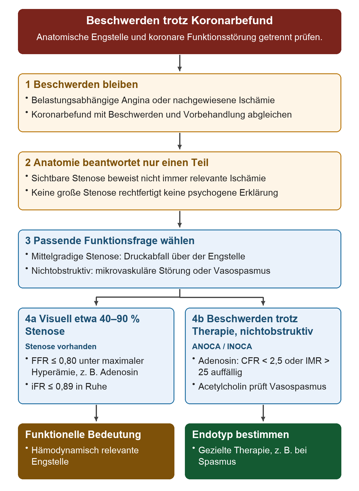 Beschwerden trotz Koronarbefund: Von oben nach unten 1 Beschwerden bleiben; 2 Anatomie beantwortet nur einen Teil; 3 Passende Funktionsfrage wählen; 4a Visuell etwa 40–90 % Stenose; 4b Beschwerden trotz Therapie, nichtobstruktiv. Die untere Reihe zeigt Funktionelle Bedeutung, Endotyp bestimmen.