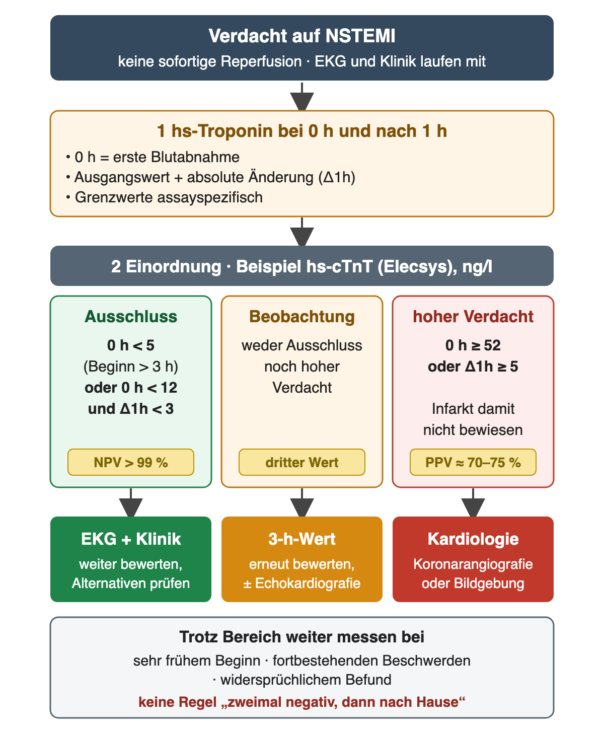 Ablauf: Verdacht auf NSTEMI ohne sofortige Reperfusion, hs-Troponin bei 0 h und nach 1 h, dann drei Bereiche am Beispiel hs-cTnT: Ausschluss bei 0 h unter 5 ng/l (Beginn über 3 h) oder unter 12 ng/l mit Δ1h unter 3 (NPV über 99 %), Beobachtung mit drittem Wert, hoher Verdacht bei 0 h ab 52 ng/l oder Δ1h ab 5 (PPV etwa 70–75 %); darunter die Konsequenzen und der Hinweis auf weitere Messungen bei frühem Beginn, Beschwerden oder Widerspruch.