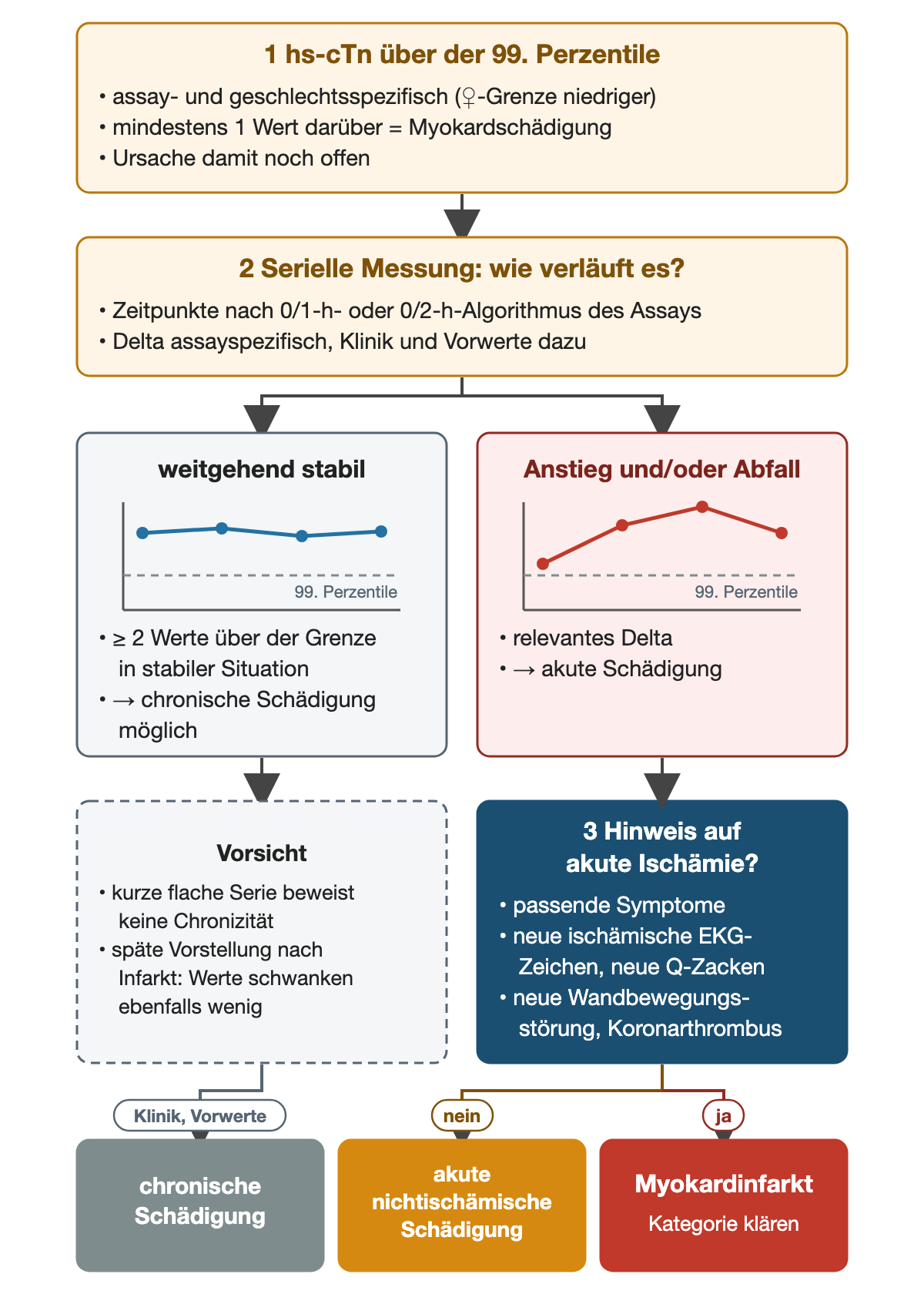 Drei Schritte: hs-Troponin über der assay- und geschlechtsspezifischen 99. Perzentile, serielle Messung nach 0/1-h- oder 0/2-h-Algorithmus, dann zwei Verläufe mit kleinen Kurven: weitgehend stabil mit mindestens zwei erhöhten Werten in stabiler Situation führt zur chronischen Schädigung, Anstieg und/oder Abfall zur akuten Schädigung; nur mit Hinweis auf akute Ischämie folgt der Myokardinfarkt, sonst eine akute nichtischämische Schädigung