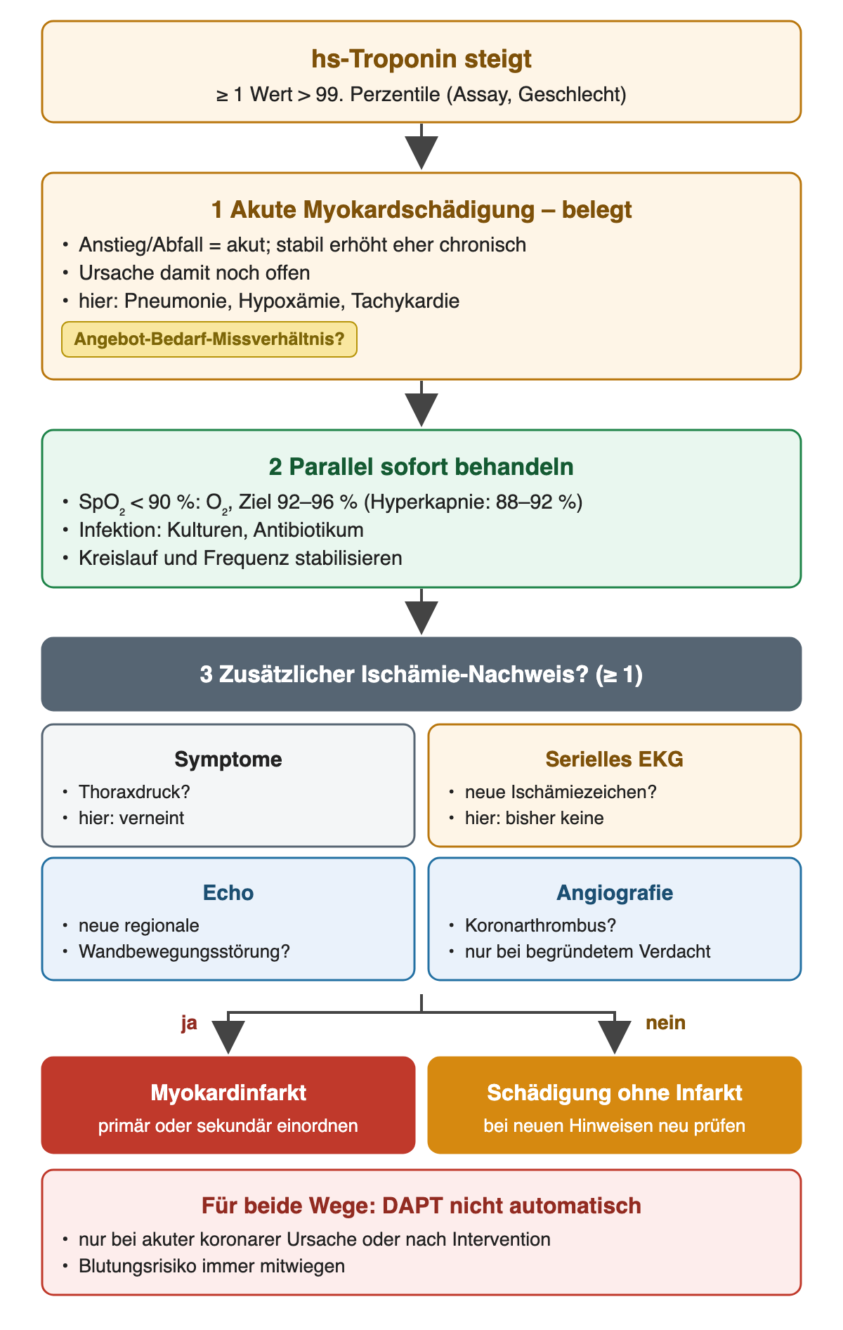 Flussdiagramm Troponinanstieg bei Pneumonie: hs-Troponin steigt mit mindestens einem Wert über der assay- und geschlechtsspezifischen 99. Perzentile; Schritt 1 akute Myokardschädigung belegt, Ursache offen, hier Pneumonie, Hypoxämie, Tachykardie, Angebot-Bedarf-Missverhältnis möglich; Schritt 2 parallel behandeln: bei SpO₂ unter 90 Prozent Sauerstoff mit Ziel 92 bis 96 Prozent, bei Hyperkapnie 88 bis 92 Prozent, Infektion, Kreislauf; Schritt 3 mindestens ein zusätzlicher Ischämie-Nachweis: Symptome hier verneint, serielles EKG bisher ohne Ischämie, Echo mit neuer Wandbewegungsstörung, Angiografie mit Koronarthrombus; ja führt zum Myokardinfarkt, primär oder sekundär einzuordnen, nein zur Schädigung ohne Infarkt; für beide Wege DAPT nicht automatisch