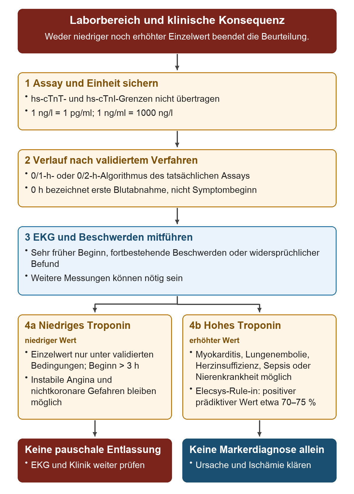 Laborbereich und klinische Konsequenz: Von oben nach unten 1 Assay und Einheit sichern; 2 Verlauf nach validiertem Verfahren; 3 EKG und Beschwerden mitführen; 4a Niedriges Troponin; 4b Hohes Troponin. Die untere Reihe zeigt Keine pauschale Entlassung, Keine Markerdiagnose allein.