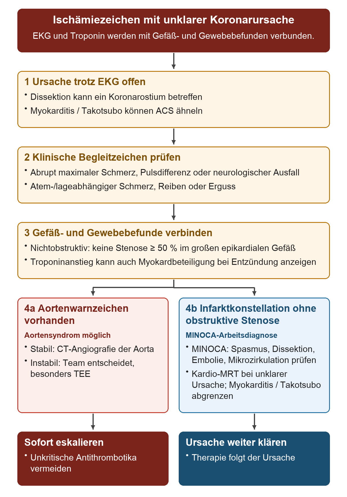 Ischämiezeichen mit unklarer Koronarursache: Von oben nach unten 1 Ursache trotz EKG offen; 2 Klinische Begleitzeichen prüfen; 3 Gefäß- und Gewebebefunde verbinden; 4a Aortenwarnzeichen vorhanden; 4b Infarktkonstellation ohne obstruktive Stenose. Die untere Reihe zeigt Sofort eskalieren, Ursache weiter klären.