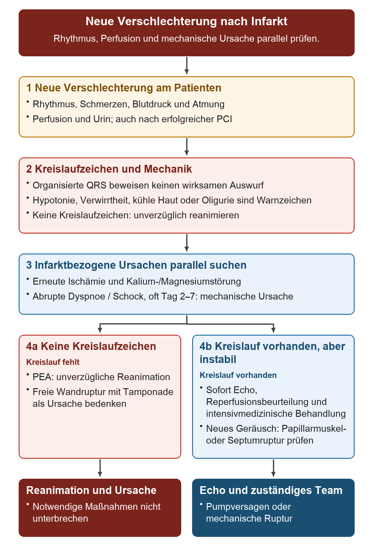 Neue Verschlechterung nach Infarkt: Von oben nach unten 1 Neue Verschlechterung am Patienten; 2 Kreislaufzeichen und Mechanik; 3 Infarktbezogene Ursachen parallel suchen; 4a Keine Kreislaufzeichen; 4b Kreislauf vorhanden, aber instabil. Die untere Reihe zeigt Reanimation und Ursache, Echo und zuständiges Team.