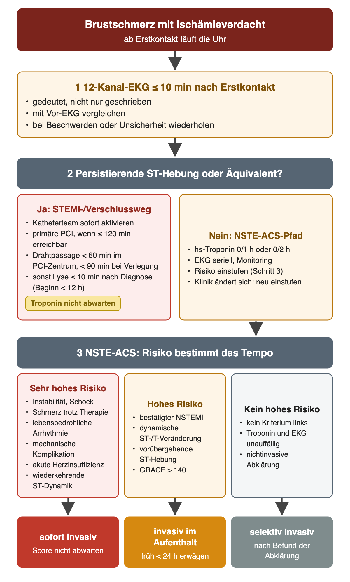 Versorgungsweg in drei Schritten: 1 12-Kanal-EKG innerhalb von 10 Minuten nach Erstkontakt, gedeutet, mit Vor-EKG verglichen und bei Beschwerden wiederholt; 2 Frage nach persistierender ST-Hebung oder Äquivalent: ja führt zum STEMI-/Verschlussweg mit sofortiger Aktivierung des Katheterteams, primärer PCI bei Erreichbarkeit innerhalb von 120 Minuten, Drahtpassage unter 60 Minuten im PCI-Zentrum und unter 90 Minuten bei Verlegung, sonst Lyse innerhalb von 10 Minuten nach Diagnose bei Beginn unter 12 Stunden, ohne Troponin abzuwarten; nein führt zum NSTE-ACS-Pfad mit hs-Troponin nach 0/1 oder 0/2 Stunden, seriellem EKG und Risikoeinstufung; 3 drei Risikospalten: sehr hohes Risiko mit Instabilität, Schmerz trotz Therapie, lebensbedrohlicher Arrhythmie, mechanischer Komplikation, akuter Herzinsuffizienz und wiederkehrender ST-Dynamik führt zu sofort invasiv; hohes Risiko mit bestätigtem NSTEMI, dynamischer ST-/T-Veränderung, vorübergehender ST-Hebung oder GRACE über 140 führt zu invasiv im Aufenthalt, früh unter 24 Stunden erwägen; kein hohes Risiko führt zu selektiv invasiv nach nichtinvasiver Abklärung