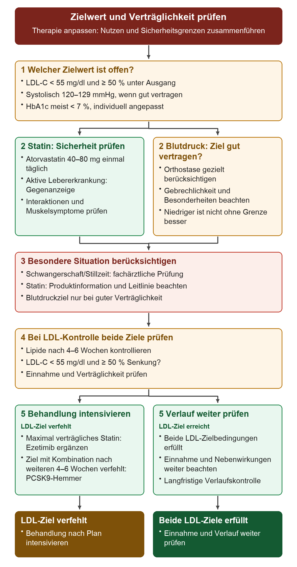 Prüfweg bei Therapieanpassung nach ACS: LDL-, Blutdruck- und HbA1c-Ziele; Statinsicherheit und Verträglichkeit des Blutdruckziels; bei Schwangerschaft oder Stillzeit fachärztliche Prüfung; Lipidkontrolle nach 4–6 Wochen mit beiden LDL-Bedingungen und gegebenenfalls weiterer Eskalation.