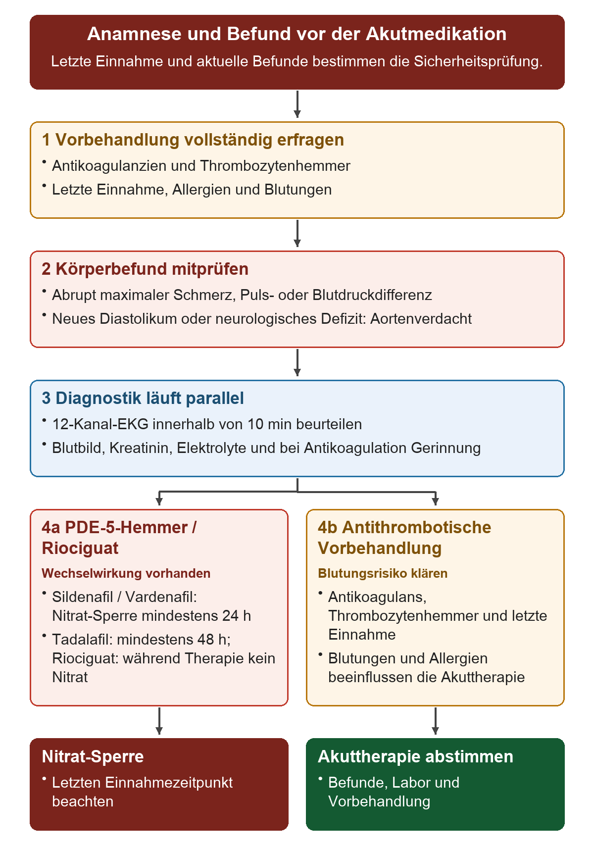Anamnese und Befund vor der Akutmedikation: Von oben nach unten 1 Vorbehandlung vollständig erfragen; 2 Körperbefund mitprüfen; 3 Diagnostik läuft parallel; 4a PDE-5-Hemmer / Riociguat; 4b Antithrombotische Vorbehandlung. Die untere Reihe zeigt Nitrat-Sperre, Akuttherapie abstimmen.