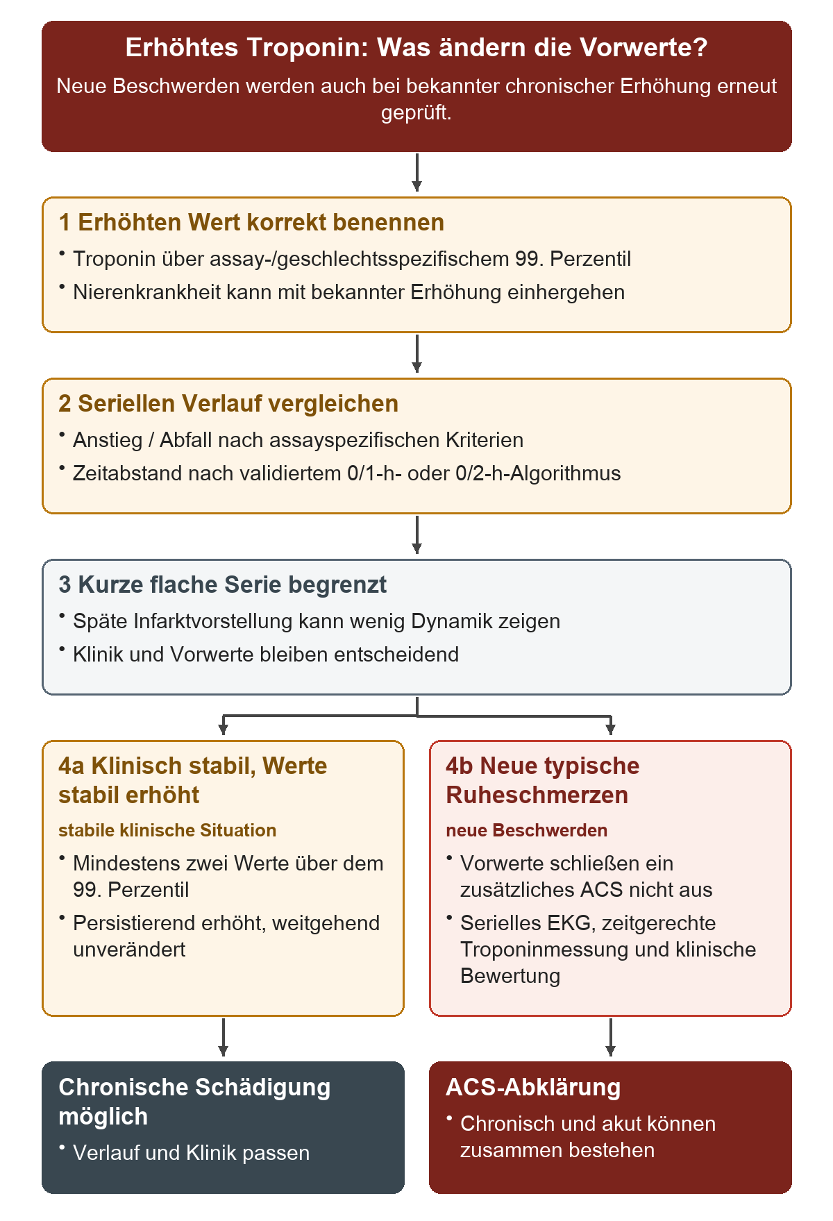Erhöhtes Troponin: Was ändern die Vorwerte?: Von oben nach unten 1 Erhöhten Wert korrekt benennen; 2 Seriellen Verlauf vergleichen; 3 Kurze flache Serie begrenzt; 4a Klinisch stabil, Werte stabil erhöht; 4b Neue typische Ruheschmerzen. Die untere Reihe zeigt Chronische Schädigung möglich, ACS-Abklärung.