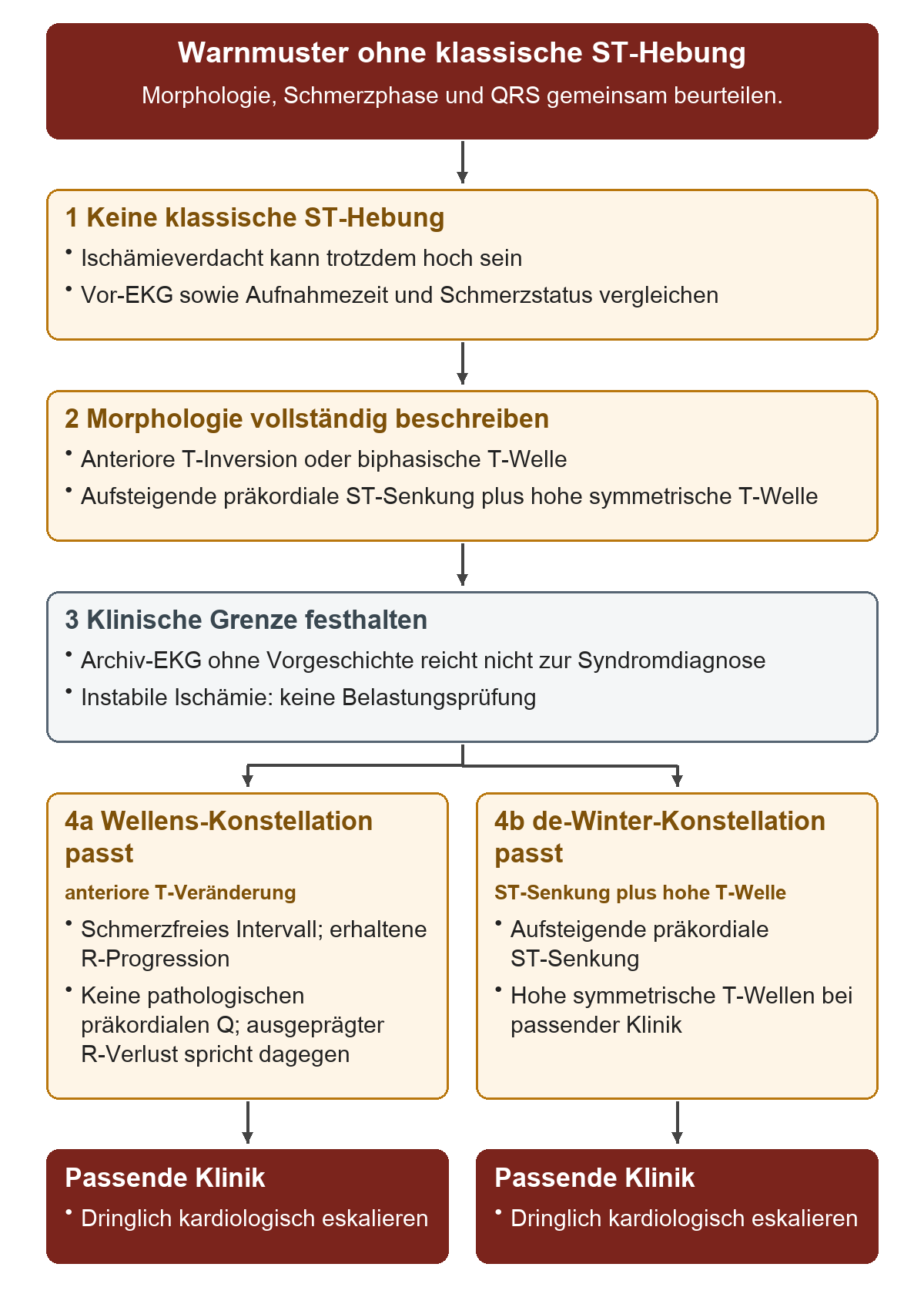 Warnmuster ohne klassische ST-Hebung: Von oben nach unten 1 Keine klassische ST-Hebung; 2 Morphologie vollständig beschreiben; 3 Klinische Grenze festhalten; 4a Wellens-Konstellation passt; 4b de-Winter-Konstellation passt. Die untere Reihe zeigt Passende Klinik, Passende Klinik.