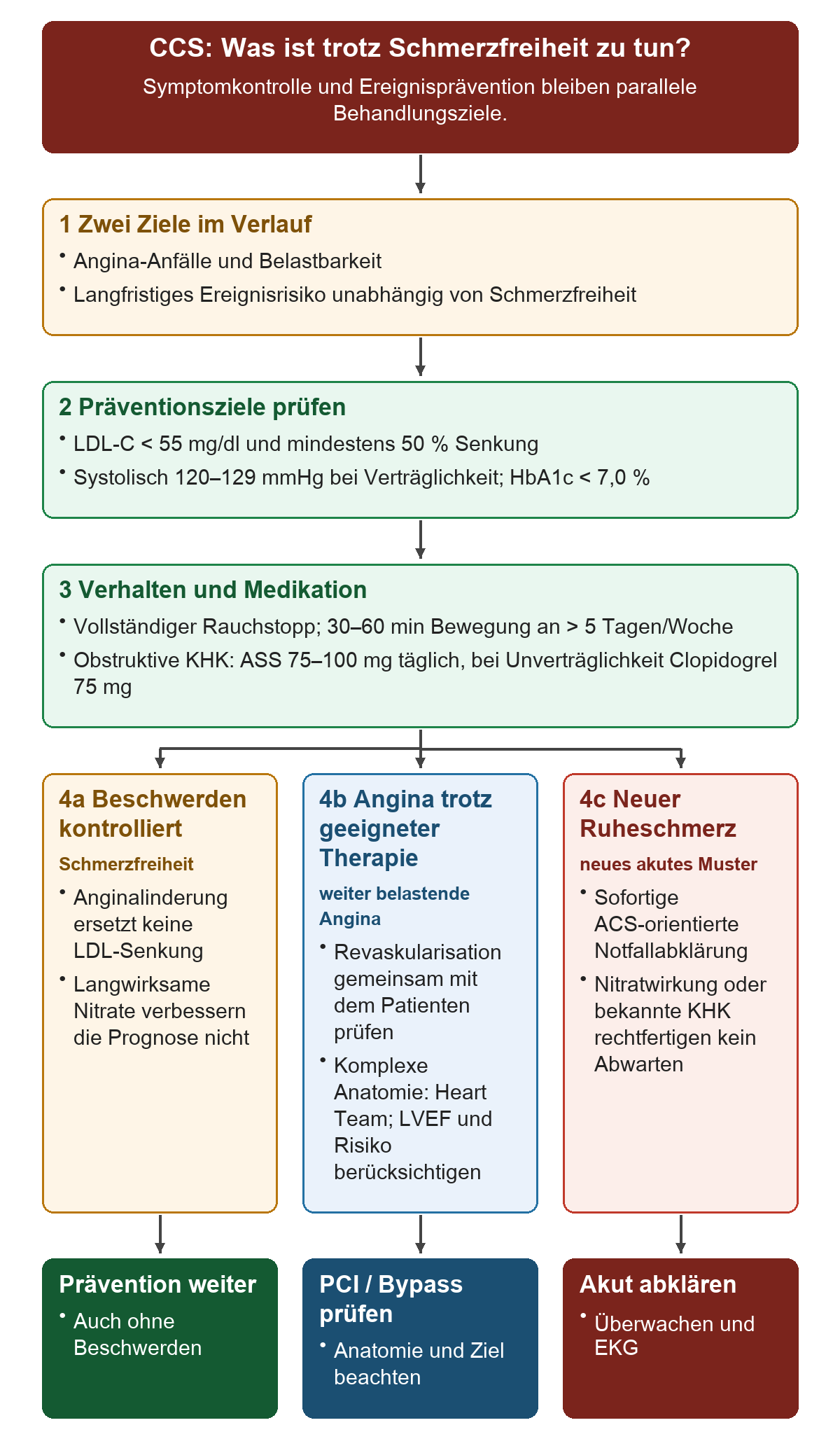 CCS: Was ist trotz Schmerzfreiheit zu tun?: Von oben nach unten 1 Zwei Ziele im Verlauf; 2 Präventionsziele prüfen; 3 Verhalten und Medikation; 4a Beschwerden kontrolliert; 4b Angina trotz geeigneter Therapie; 4c Neuer Ruheschmerz. Die untere Reihe zeigt Prävention weiter, PCI / Bypass prüfen, Akut abklären.