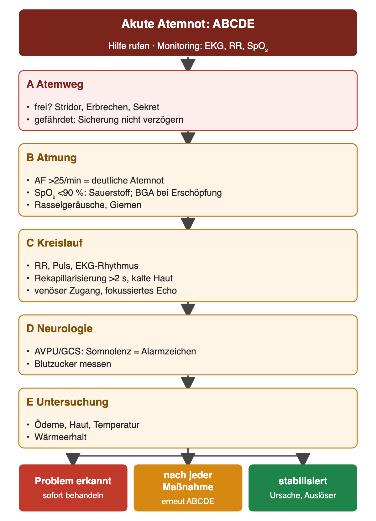 Von oben nach unten: Hilfe rufen und Monitoring, dann A Atemweg, B Atmung mit Atemfrequenz über 25 pro Minute und SpO₂ unter 90 Prozent, C Kreislauf mit Rekapillarisierung über 2 Sekunden, D Neurologie mit AVPU/GCS und Blutzucker, E Untersuchung; unten drei farbige Folgen.