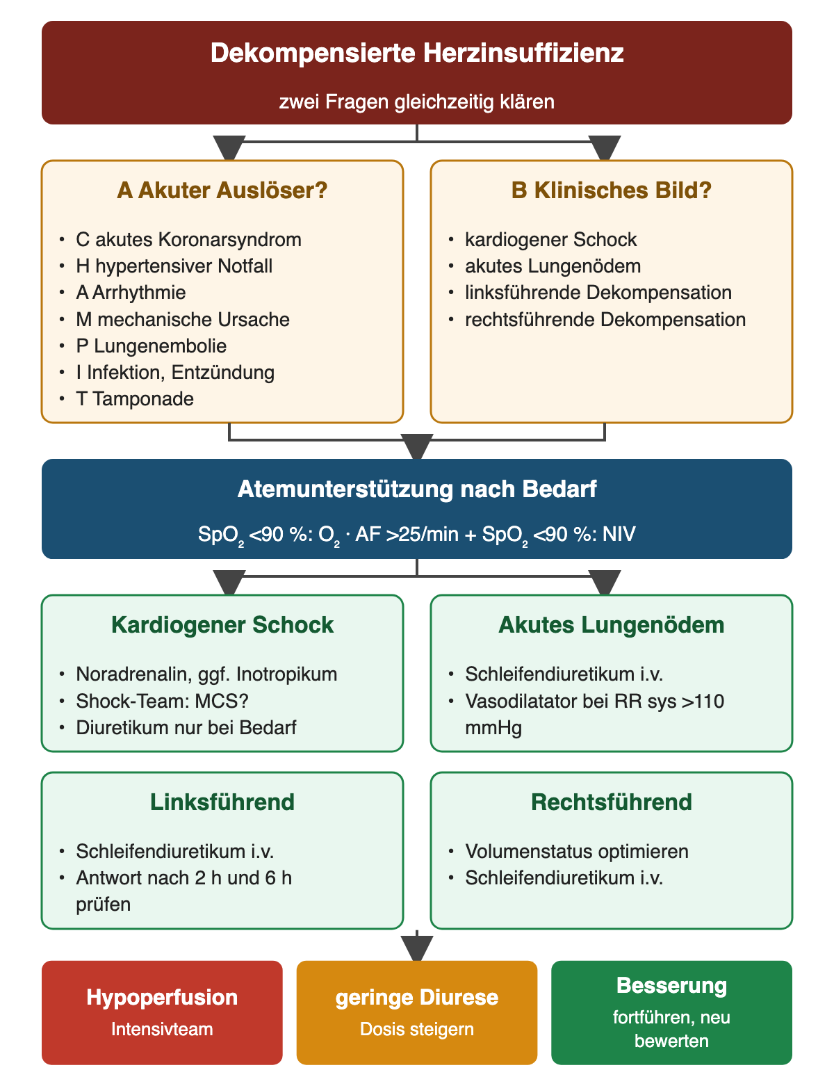 Oben dekompensierte Herzinsuffizienz; links akute Auslöser nach CHAMPIT, rechts vier klinische Bilder (kardiogener Schock, akutes Lungenödem, links- und rechtsführende Dekompensation); darunter Atemunterstützung nach Bedarf und vier grüne Therapiekästen; unten drei farbige Ergebnisfelder.