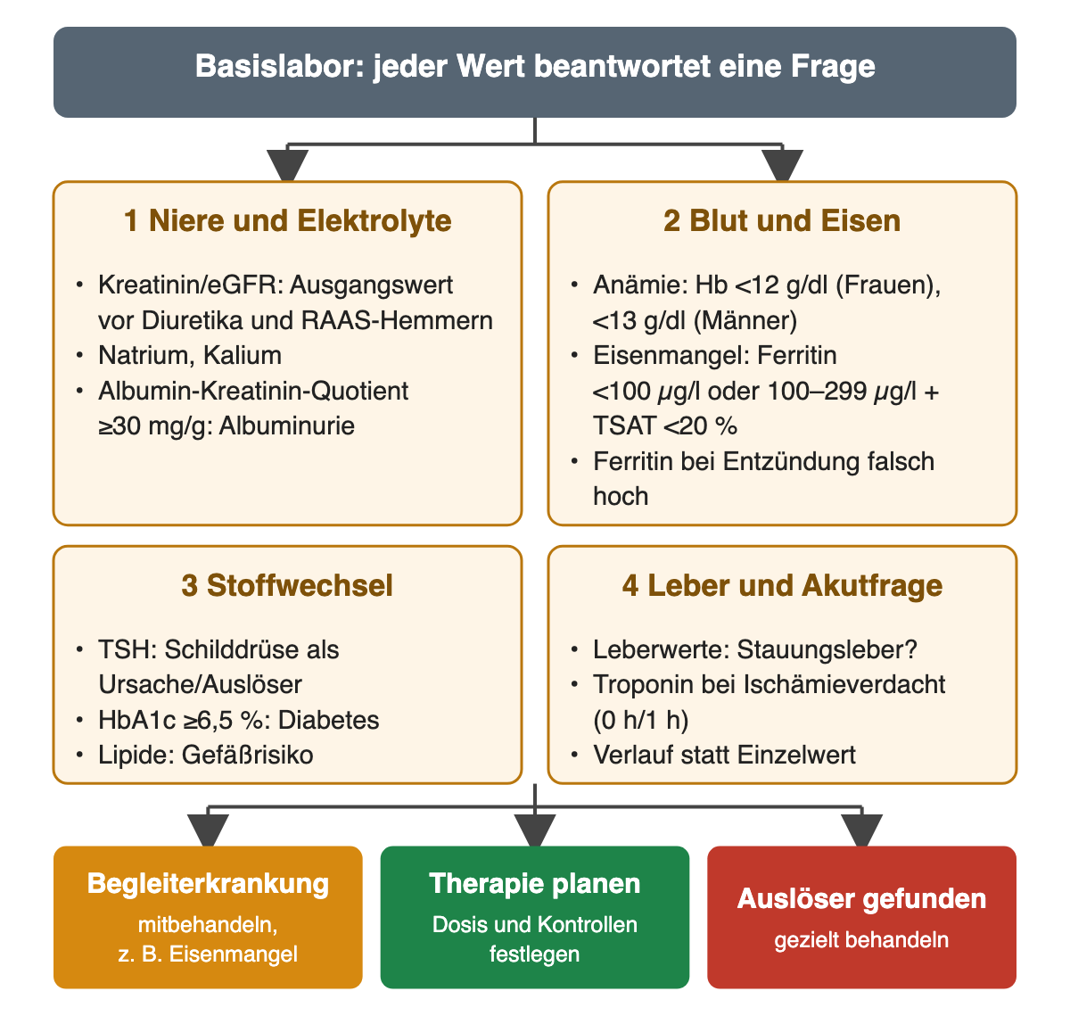 Vier Laborgruppen: Niere und Elektrolyte mit Albumin-Kreatinin-Quotient ab 30 mg/g; Blut und Eisen mit Anämiegrenzen 12 und 13 g/dl und Eisenmangel bei Ferritin unter 100 µg/l oder 100 bis 299 µg/l mit TSAT unter 20 %; Stoffwechsel mit TSH und HbA1c ab 6,5 %; Leberwerte und Troponin nach 0-h/1-h-Algorithmus.