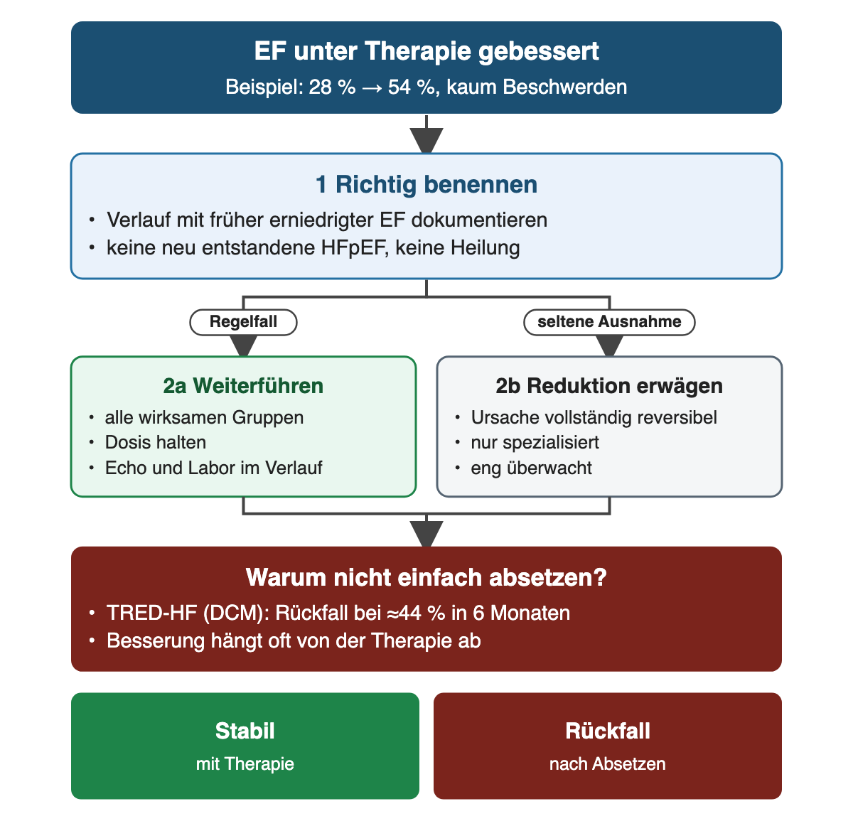Von oben nach unten: EF unter Therapie von 28 auf 54 Prozent gebessert; Verlauf richtig benennen; links Regelfall Weiterführen, rechts seltene Ausnahme spezialisierte Reduktion; dunkelroter Kasten mit dem Rückfallrisiko nach Absetzen; unten stabil mit Therapie und Rückfall nach Absetzen.