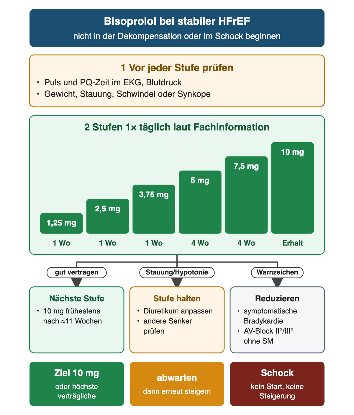 Oben Prüfung von Puls, PQ-Zeit, Blutdruck, Gewicht und Stauung vor jeder Stufe; in der Mitte eine Treppe mit sechs grünen Stufen von 1,25 über 2,5, 3,75, 5 und 7,5 bis 10 mg mit der Dauer jeder Stufe; darunter drei Äste: nächste Stufe, Stufe halten, reduzieren; unten Zieldosis, Abwarten und kein Start im Schock.