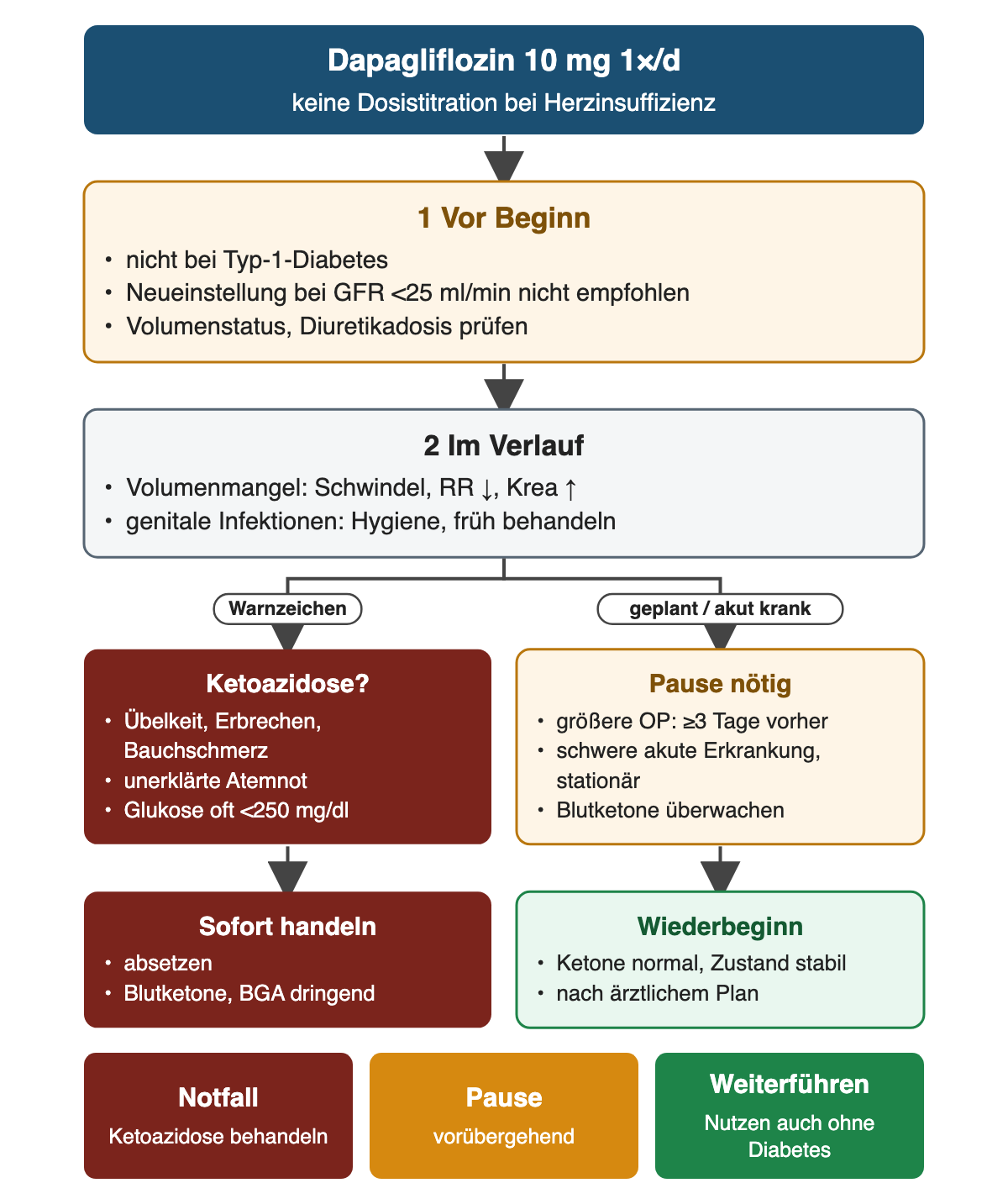 Von oben nach unten: Dapagliflozin 10 mg ohne Titration; Prüfungen vor Beginn mit Typ-1-Diabetes und GFR unter 25 ml/min; Verlauf mit Volumenmangel und genitalen Infektionen; links Ketoazidosezeichen mit sofortigem Absetzen und Blutketonen, rechts Pause mindestens 3 Tage vor größerer Operation oder bei schwerer Erkrankung mit späterem Wiederbeginn; unten Notfall, Pause und Weiterführen.