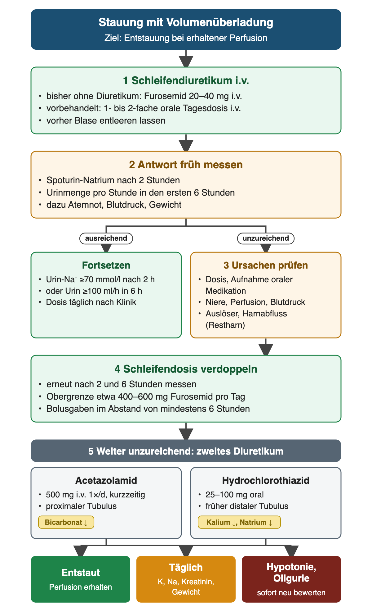 Von oben nach unten: Schleifendiuretikum i.v. beginnen (ohne Vorbehandlung Furosemid 20–40 mg, sonst 1- bis 2-fache orale Tagesdosis); Antwort nach 2 und 6 Stunden messen; bei Urin-Natrium ≥70 mmol/l nach 2 Stunden oder Urin ≥100 ml/h in 6 Stunden fortsetzen, sonst Ursachen prüfen und die Dosis bis etwa 400–600 mg Furosemid pro Tag verdoppeln; danach Acetazolamid 500 mg i.v. oder Hydrochlorothiazid 25–100 mg ergänzen; Ergebnisreihe: entstaut, tägliches Labor, sofortige Neubewertung bei Hypotonie oder Oligurie.