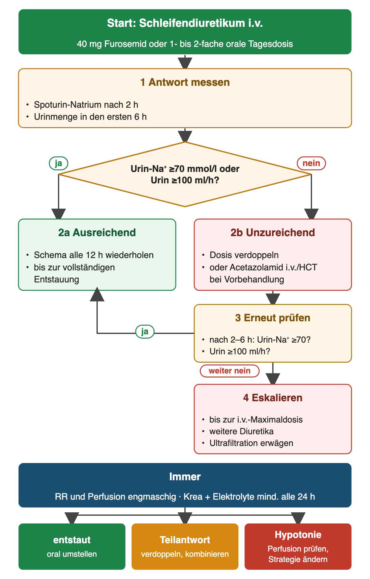 Oben Start mit 40 mg Furosemid oder 1- bis 2-facher oraler Tagesdosis; Messung von Spoturin-Natrium nach 2 Stunden und Urinmenge in 6 Stunden; Raute Urin-Natrium mindestens 70 mmol/l oder Urin mindestens 100 ml pro Stunde: ja führt zur Wiederholung alle 12 Stunden, nein zu Dosisverdopplung oder Kombination, erneuter Prüfung und Eskalation; unten Laborkontrolle alle 24 Stunden und drei farbige Ergebnisfelder.