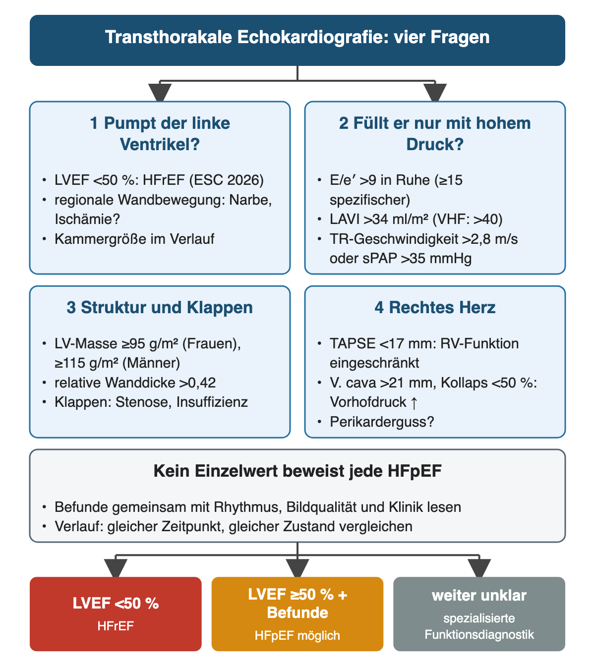 Vier Fragen an die transthorakale Echokardiografie: Pumpfunktion (LVEF unter 50 % HFrEF), Füllungsdruck (E/e′ über 9, LAVI über 34 ml/m², TR-Geschwindigkeit über 2,8 m/s), Struktur (LV-Masse ab 95 beziehungsweise 115 g/m², relative Wanddicke über 0,42) und rechtes Herz (TAPSE unter 17 mm, V. cava über 21 mm mit weniger als 50 % Kollaps).