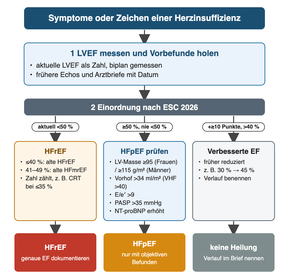 Ablauf von Symptomen über LVEF-Messung mit Vorbefunden zur Einordnung nach ESC 2026 in drei Spalten mit Bedingungen: aktuell unter 50 Prozent HFrEF einschließlich der alten Gruppen bis 40 und 41 bis 49 Prozent; ab 50 Prozent und nie darunter HFpEF prüfen mit LV-Masse, Vorhofgröße, E/e′, Pulmonalarteriendruck und NT-proBNP; Anstieg um mindestens 10 Punkte auf über 40 Prozent als verbesserte EF. Ergebnisfelder: HFrEF mit genauer EF, HFpEF nur mit objektiven Befunden, verbesserte EF ist keine Heilung.
