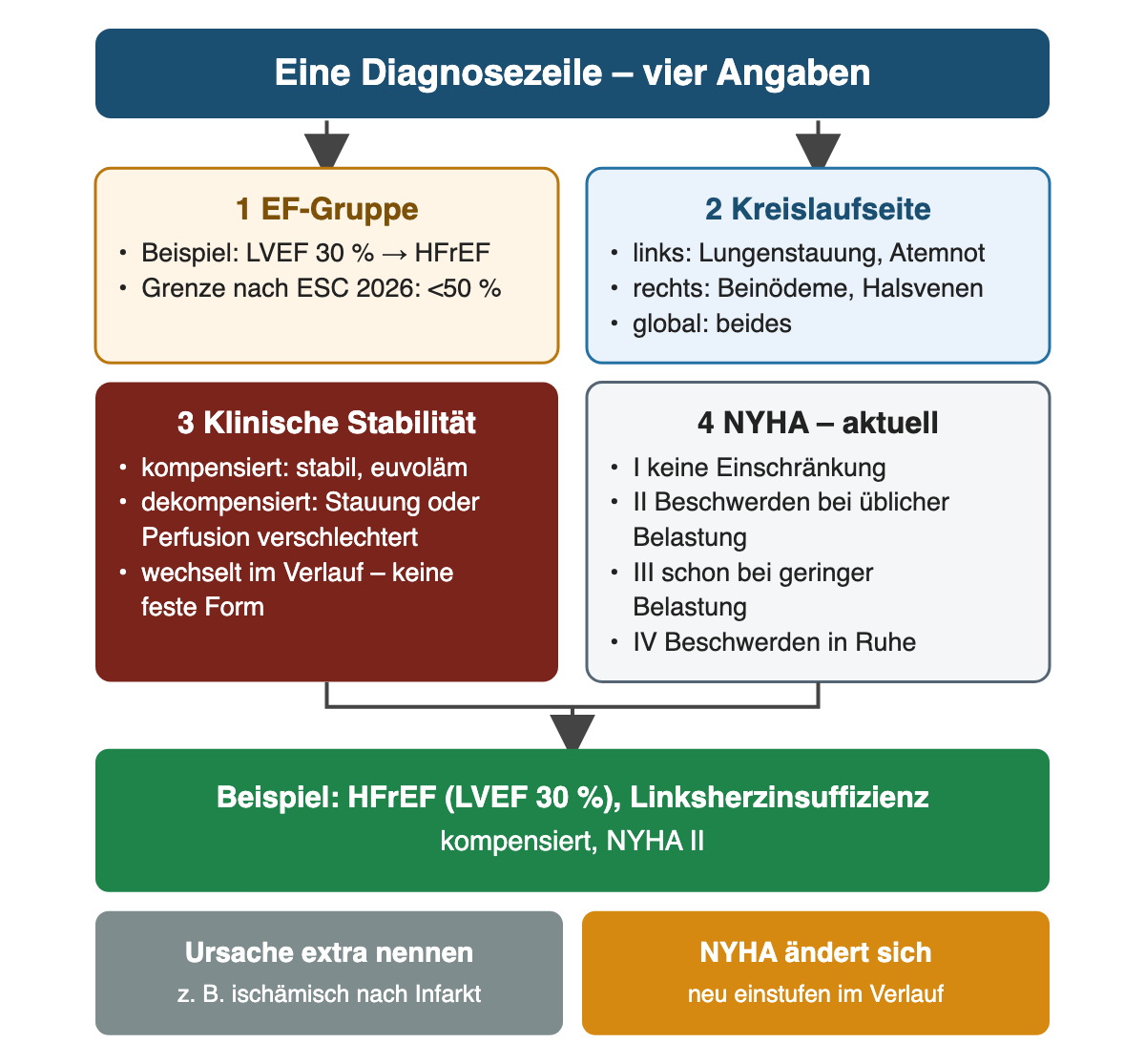 Vier Felder führen zu einer Diagnosezeile: EF-Gruppe mit LVEF 30 Prozent als HFrEF, Kreislaufseite links, rechts oder global, klinische Stabilität kompensiert oder dekompensiert und NYHA-Klasse I bis IV. Grünes Ergebnisfeld mit dem Beispiel HFrEF (LVEF 30 %), Linksherzinsuffizienz, kompensiert, NYHA II; darunter: Ursache gesondert nennen und NYHA im Verlauf neu einstufen.
