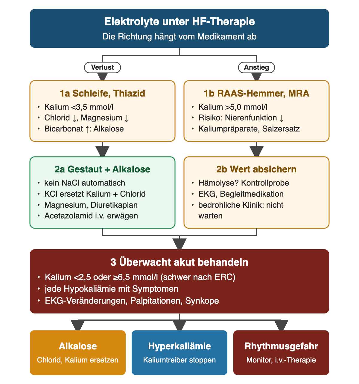 Von oben nach unten: links Verlust unter Schleifendiuretika und Thiaziden (Kalium unter 3,5 mmol/l, Chlorid und Magnesium erniedrigt, Bicarbonat erhöht), rechts Anstieg unter RAAS-Hemmern und MRA (Kalium über 5,0 mmol/l); bei Stauung mit Alkalose kein automatisches NaCl, sondern Kaliumchlorid, Magnesium, Diuretikaplan und gegebenenfalls Acetazolamid; einen Kaliumanstieg mit Kontrollprobe und EKG absichern; bei Kalium unter 2,5 oder ab 6,5 mmol/l, Symptomen oder EKG-Veränderungen überwacht akut behandeln.