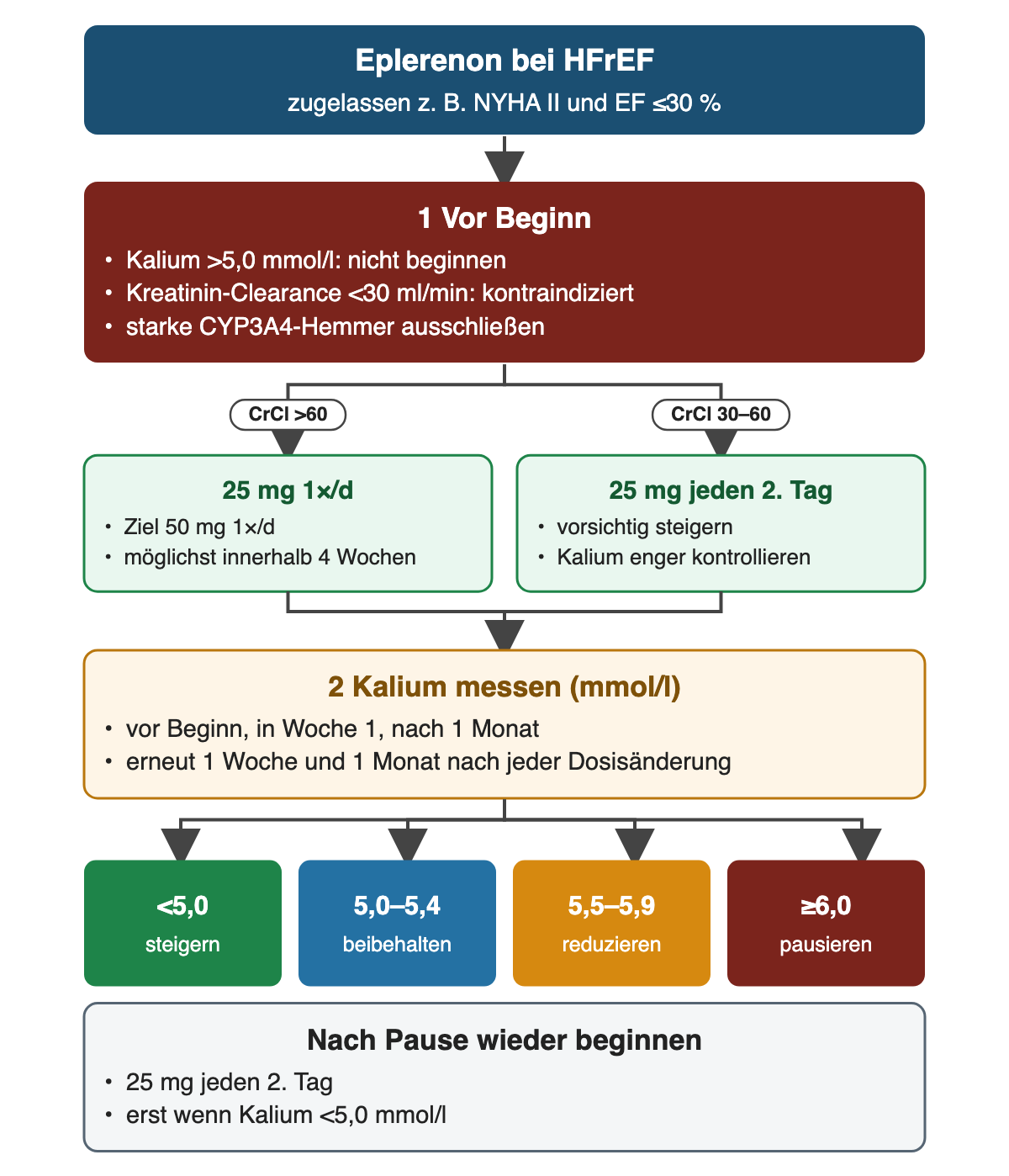 Von oben nach unten: Eplerenon bei zugelassener HFrEF-Konstellation; Ausschluss bei Kalium über 5,0 mmol/l, Kreatinin-Clearance unter 30 ml/min und starken CYP3A4-Hemmern; zwei Einstiegsdosen je nach Kreatinin-Clearance; Kaliumkontrollen; vier farbige Kaliumbereiche mit steigern, beibehalten, reduzieren und pausieren; unten Wiederbeginn nach Pause.