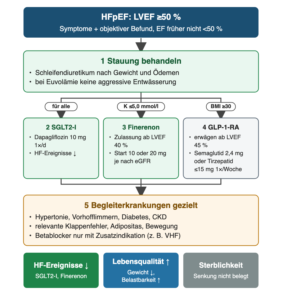 Von oben nach unten: HFpEF mit LVEF ab 50 Prozent; Stauung behandeln; drei nebeneinanderstehende Bausteine SGLT2-Inhibitor, Finerenon und GLP-1-Rezeptoragonist mit ihren Bedingungen und Dosen; Begleiterkrankungen gezielt behandeln; unten weniger HF-Ereignisse, bessere Lebensqualität und keine belegte Senkung der Sterblichkeit.