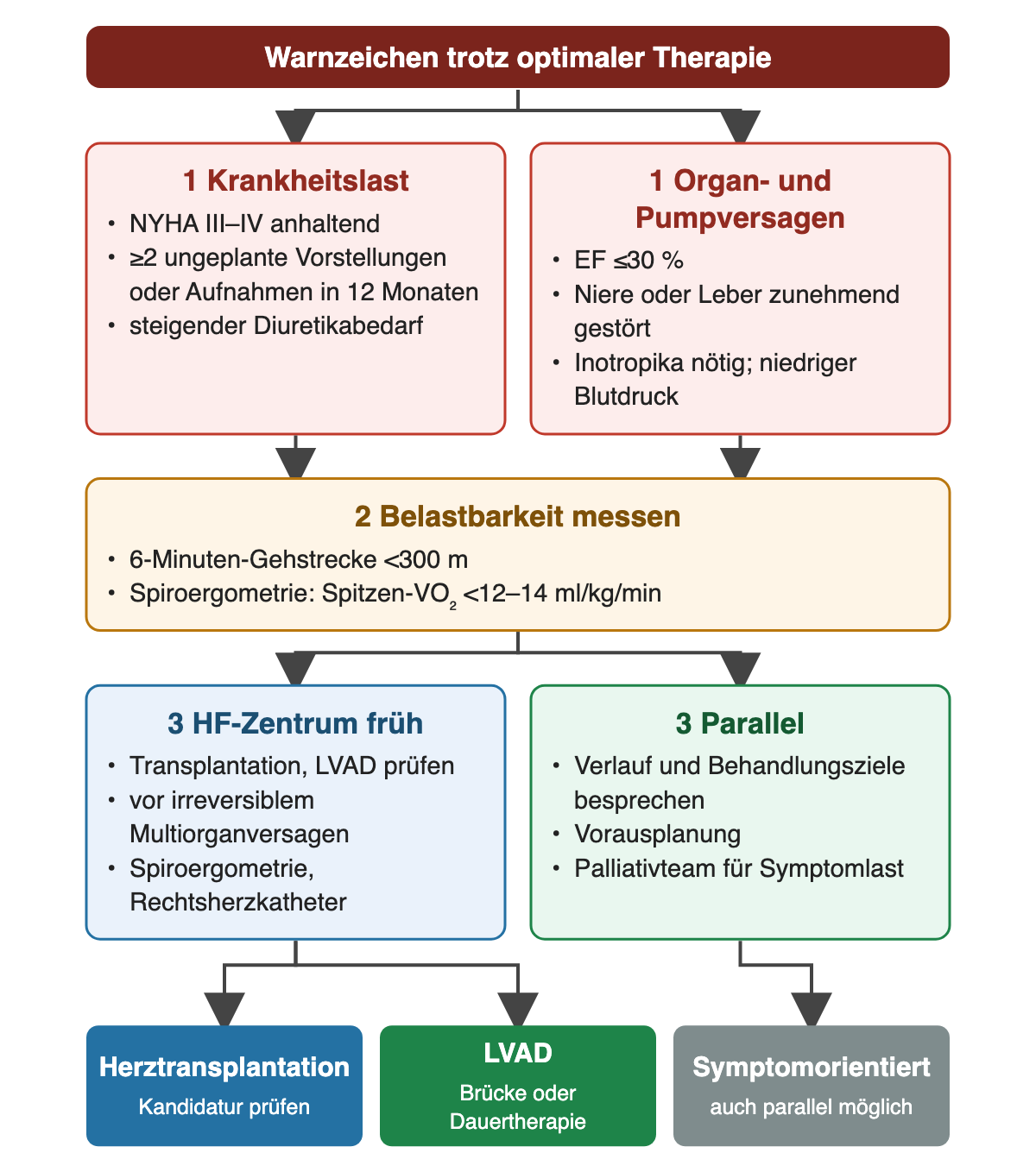 Warnzeichen fortgeschrittener HF trotz optimaler Therapie in zwei Gruppen: Krankheitslast mit anhaltender NYHA III–IV, mindestens zwei ungeplanten Vorstellungen oder Aufnahmen in 12 Monaten und steigendem Diuretikabedarf; Organ- und Pumpversagen mit EF ≤30 %, zunehmender Nieren- oder Leberstörung, Inotropikabedarf und niedrigem Blutdruck. Die Belastbarkeit wird gemessen: 6-Minuten-Gehstrecke unter 300 m, Spitzen-VO₂ unter 12–14 ml/kg/min. Danach folgen die frühe Vorstellung im HF-Zentrum zur Prüfung von Transplantation und LVAD und parallel Gespräche über Behandlungsziele, Vorausplanung und Palliativversorgung. Ergebniszeile: Herztransplantation, LVAD oder symptomorientierte Behandlung.