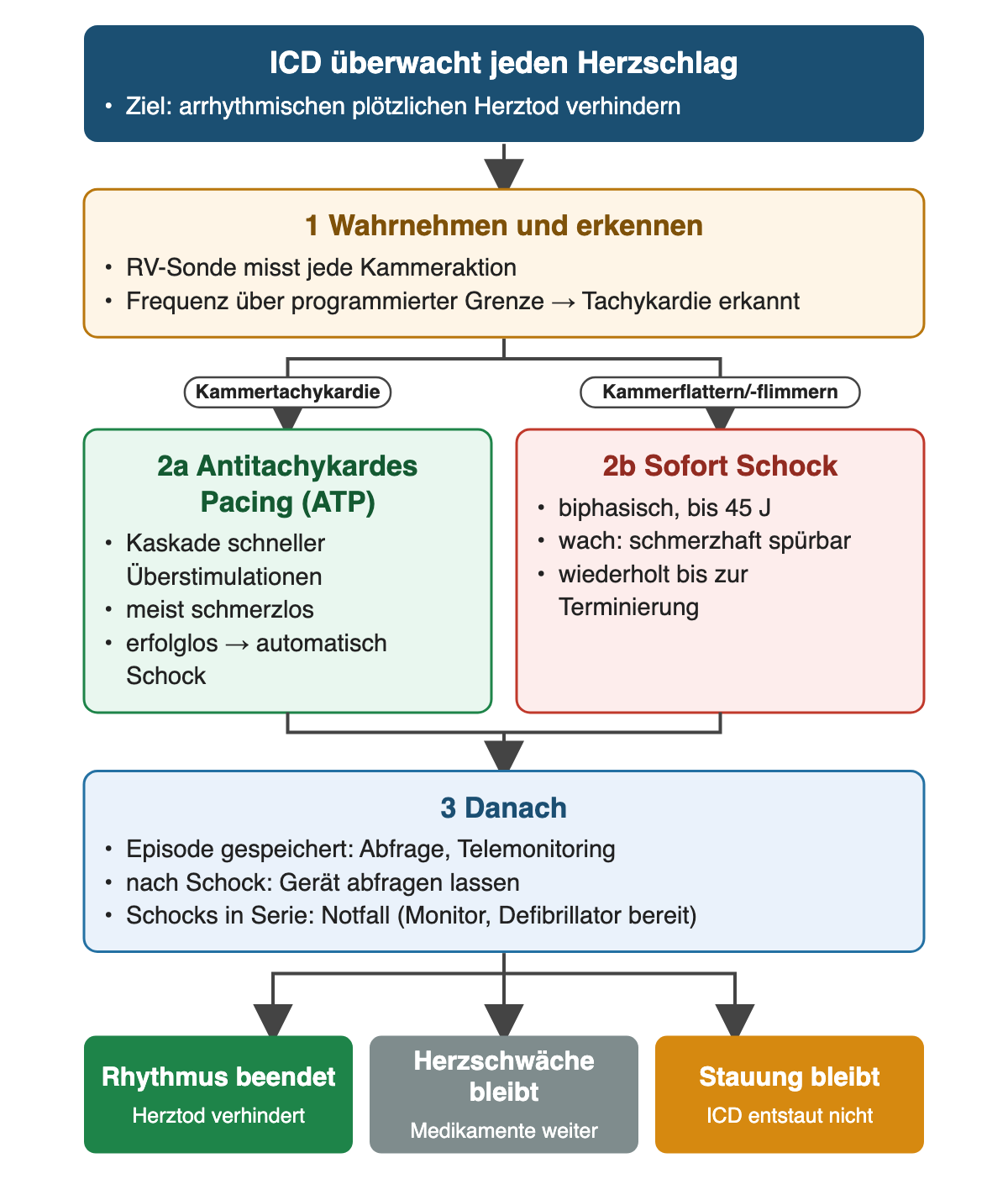 Ablauf der ICD-Therapie: Die rechtsventrikuläre Sonde nimmt jede Kammeraktion wahr; liegt die Frequenz über der programmierten Grenze, wird eine Tachykardie erkannt. Bei Kammertachykardie folgt zuerst antitachykardes Pacing als Kaskade schneller Überstimulationen, bei Erfolglosigkeit automatisch ein Schock; bei Kammerflattern oder -flimmern sofort ein biphasischer Schock bis 45 J. Danach wird die Episode gespeichert. Die Ergebniszeile zeigt: Rhythmus beendet, Herzschwäche und Stauung bleiben.