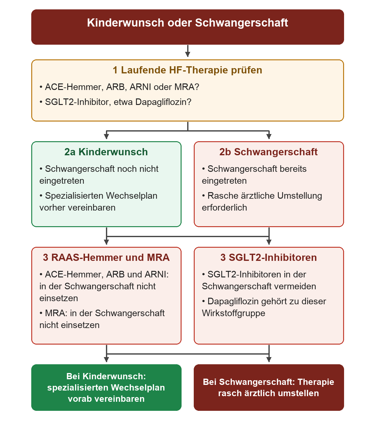 Von der laufenden HF-Medikation verzweigt der Weg in Kinderwunsch mit vorherigem spezialisiertem Wechselplan und eingetretene Schwangerschaft mit rascher ärztlicher Umstellung. Darunter stehen die in der Schwangerschaft nicht eingesetzten ACE-Hemmer, ARB, ARNI und MRA sowie die zu vermeidenden SGLT2-Inhibitoren.