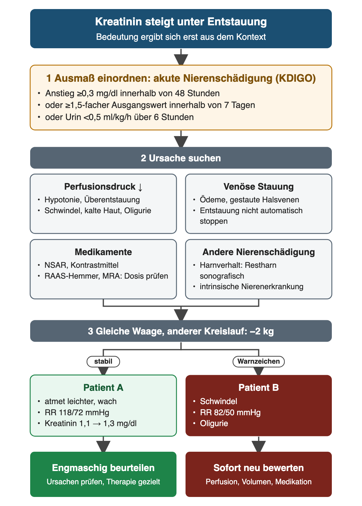Von oben nach unten: Kreatininanstieg nach KDIGO einordnen (mindestens 0,3 mg/dl in 48 Stunden, 1,5-facher Ausgangswert in 7 Tagen oder Urin unter 0,5 ml/kg/h über 6 Stunden); vier Ursachenfelder prüfen (Perfusionsdruck, venöse Stauung, Medikamente, andere Nierenschädigung); bei gleicher Abnahme um 2 kg wird Patient A mit RR 118/72 mmHg und Kreatinin 1,1 auf 1,3 mg/dl engmaschig beurteilt, Patient B mit RR 82/50 mmHg, Schwindel und Oligurie sofort neu bewertet.