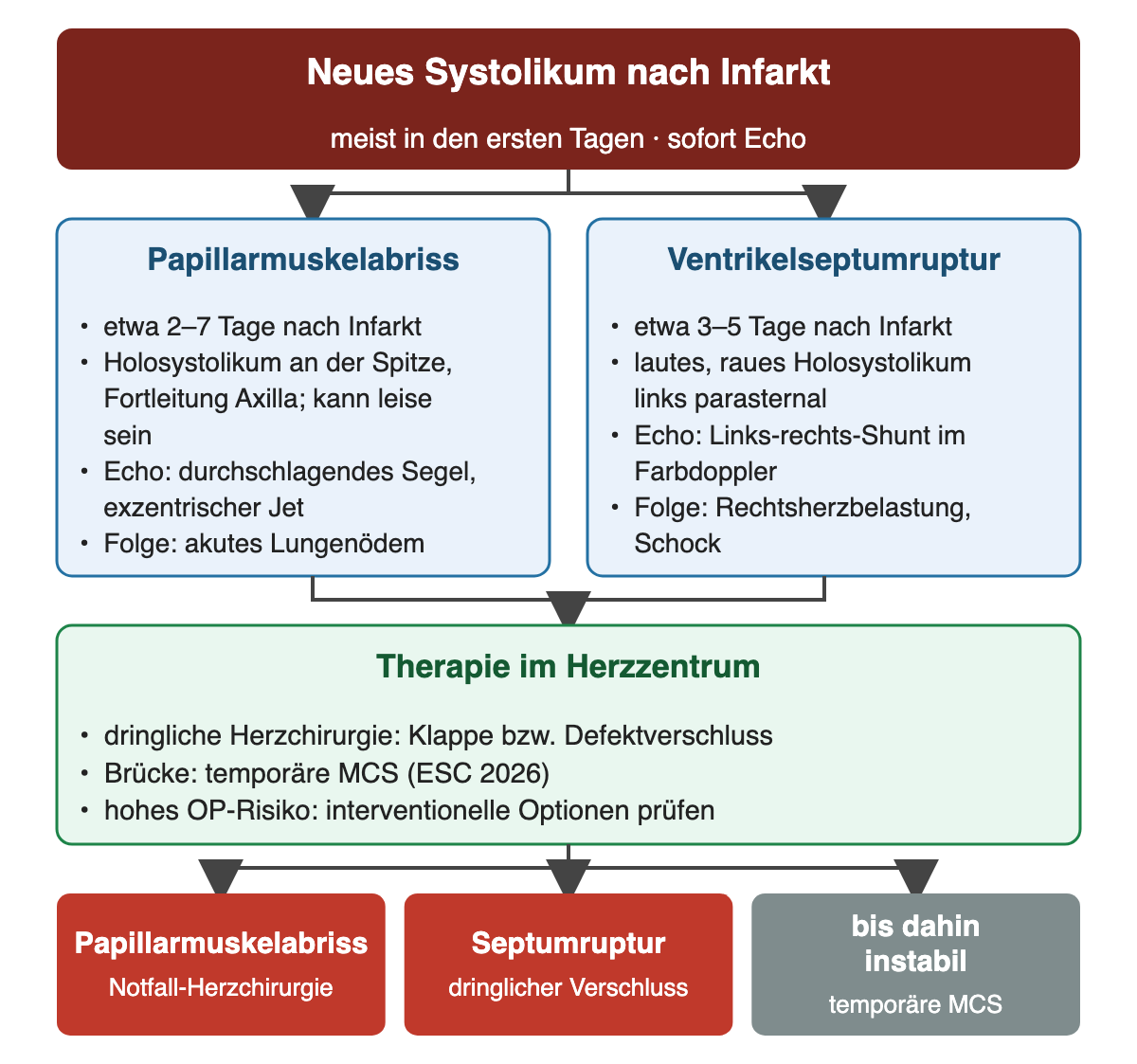 Oben neues Systolikum nach Infarkt; links Papillarmuskelabriss (etwa 2 bis 7 Tage, Holosystolikum an der Spitze, durchschlagendes Segel, Lungenödem), rechts Ventrikelseptumruptur (etwa 3 bis 5 Tage, raues Holosystolikum links parasternal, Links-rechts-Shunt, Schock); darunter Therapie im Herzzentrum; unten drei farbige Felder.