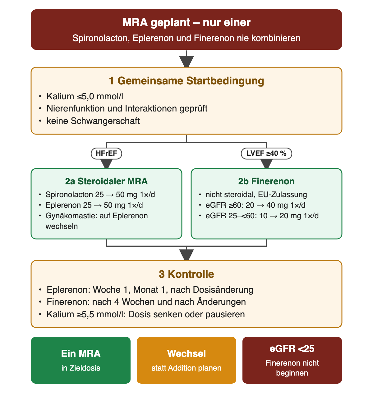 Von oben nach unten: nur ein MRA, nie kombiniert; gemeinsame Startbedingung Kalium bis 5,0 mmol/l; links steroidale MRA bei HFrEF mit Spironolacton und Eplerenon 25 auf 50 mg, rechts Finerenon ab LVEF 40 Prozent mit eGFR-abhängiger Dosis; Kontrollen; unten ein MRA in Zieldosis, Wechsel statt Addition und kein Finerenon-Beginn bei eGFR unter 25.