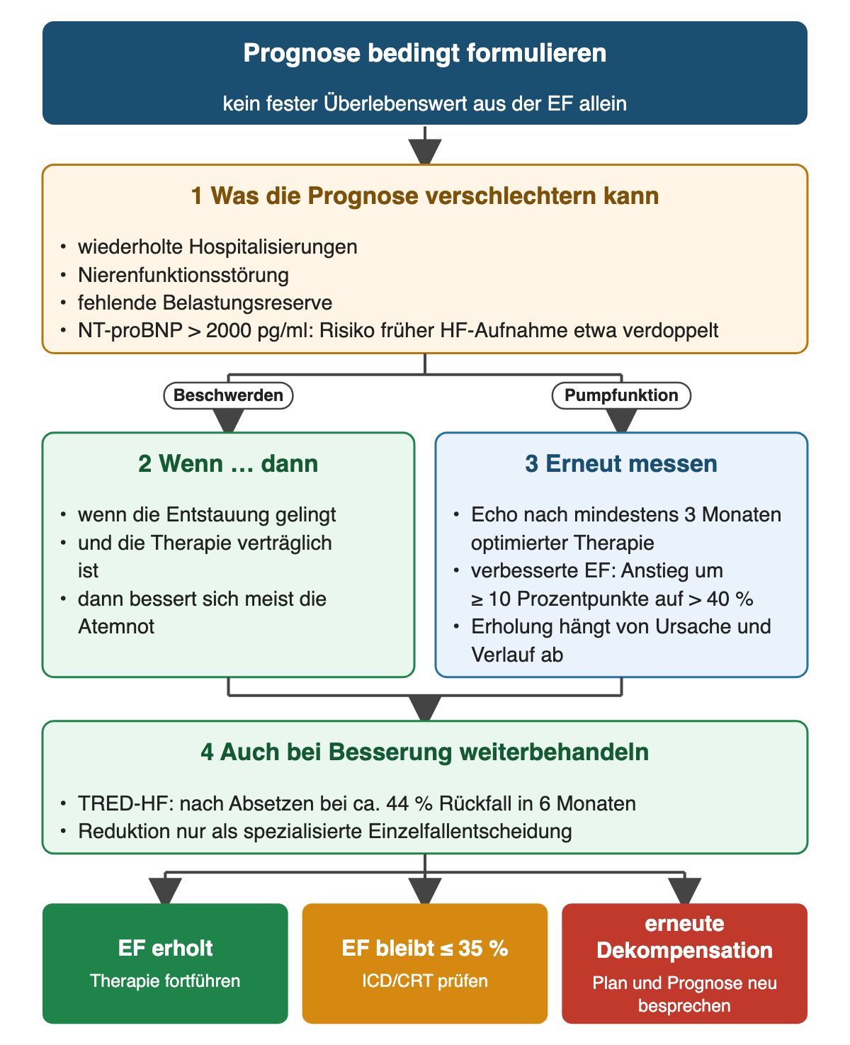 Oben ungünstige Hinweise: wiederholte Hospitalisierungen, Nierenfunktionsstörung, fehlende Belastungsreserve, NT-proBNP über 2000 pg/ml. Daraus zwei Wege: Beschwerden mit der Wenn-dann-Aussage, dass sich bei gelungener Entstauung und verträglicher Therapie meist die Atemnot bessert; Pumpfunktion mit erneutem Echo nach mindestens 3 Monaten und der Definition der verbesserten EF als Anstieg um mindestens 10 Prozentpunkte auf über 40 Prozent. Danach Therapie auch bei Besserung fortführen. Ergebnisreihe: EF erholt, EF bleibt höchstens 35 Prozent mit ICD- und CRT-Prüfung, erneute Dekompensation.