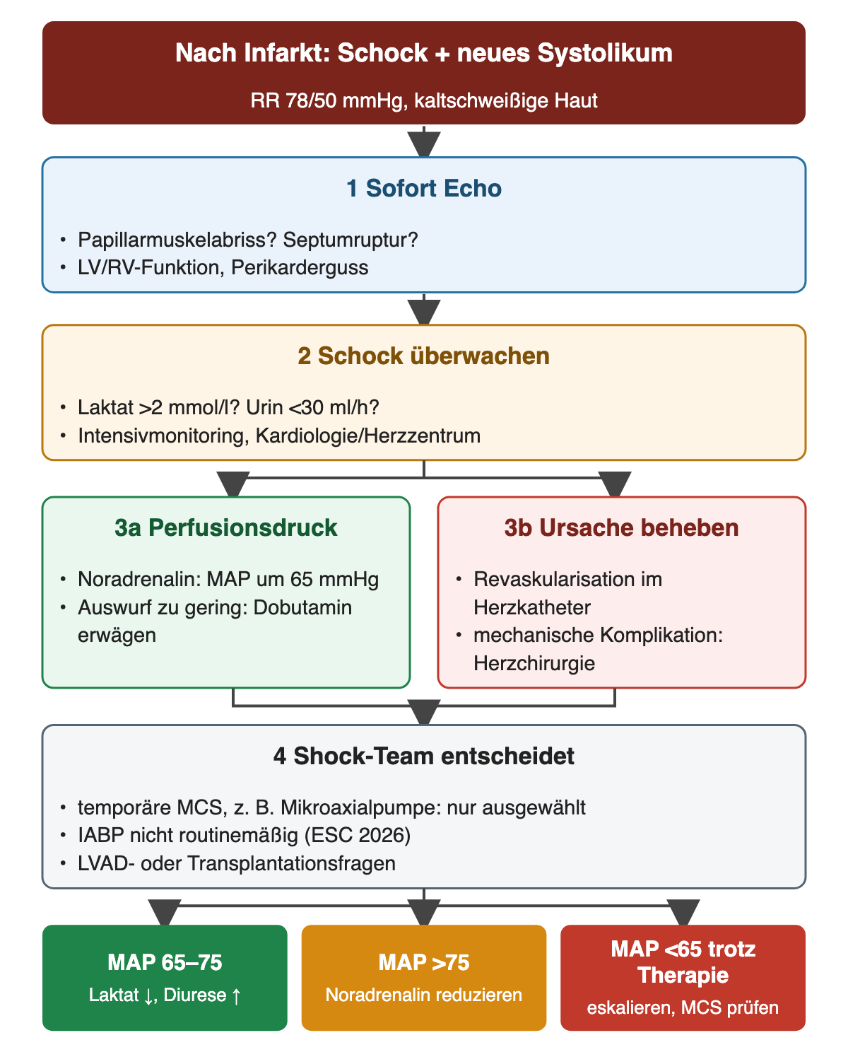 Oben Schock mit neuem Systolikum nach Infarkt, RR 78/50 mmHg; dann sofort Echo und Schocküberwachung mit Laktat über 2 mmol/l und Urin unter 30 ml pro Stunde; parallel Noradrenalin mit MAP um 65 mmHg und ggf. Dobutamin sowie Revaskularisation oder Herzchirurgie; danach Shock-Team mit MCS-Entscheidung; unten drei farbige Felder nach MAP.