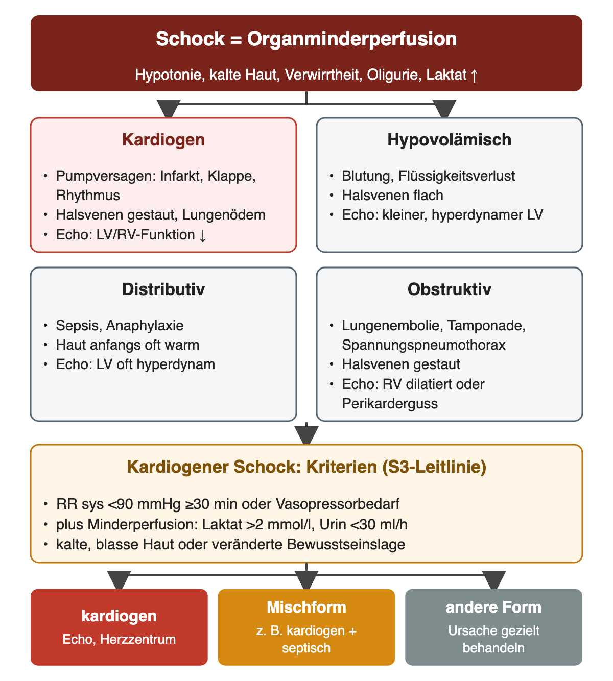 Oben Schock als Organminderperfusion; vier Kästen: kardiogen mit gestauten Halsvenen und reduzierter Pumpfunktion, hypovolämisch mit flachen Halsvenen, distributiv bei Sepsis oder Anaphylaxie, obstruktiv bei Lungenembolie, Tamponade oder Spannungspneumothorax; darunter S3-Kriterien des kardiogenen Schocks und drei farbige Ergebnisfelder.