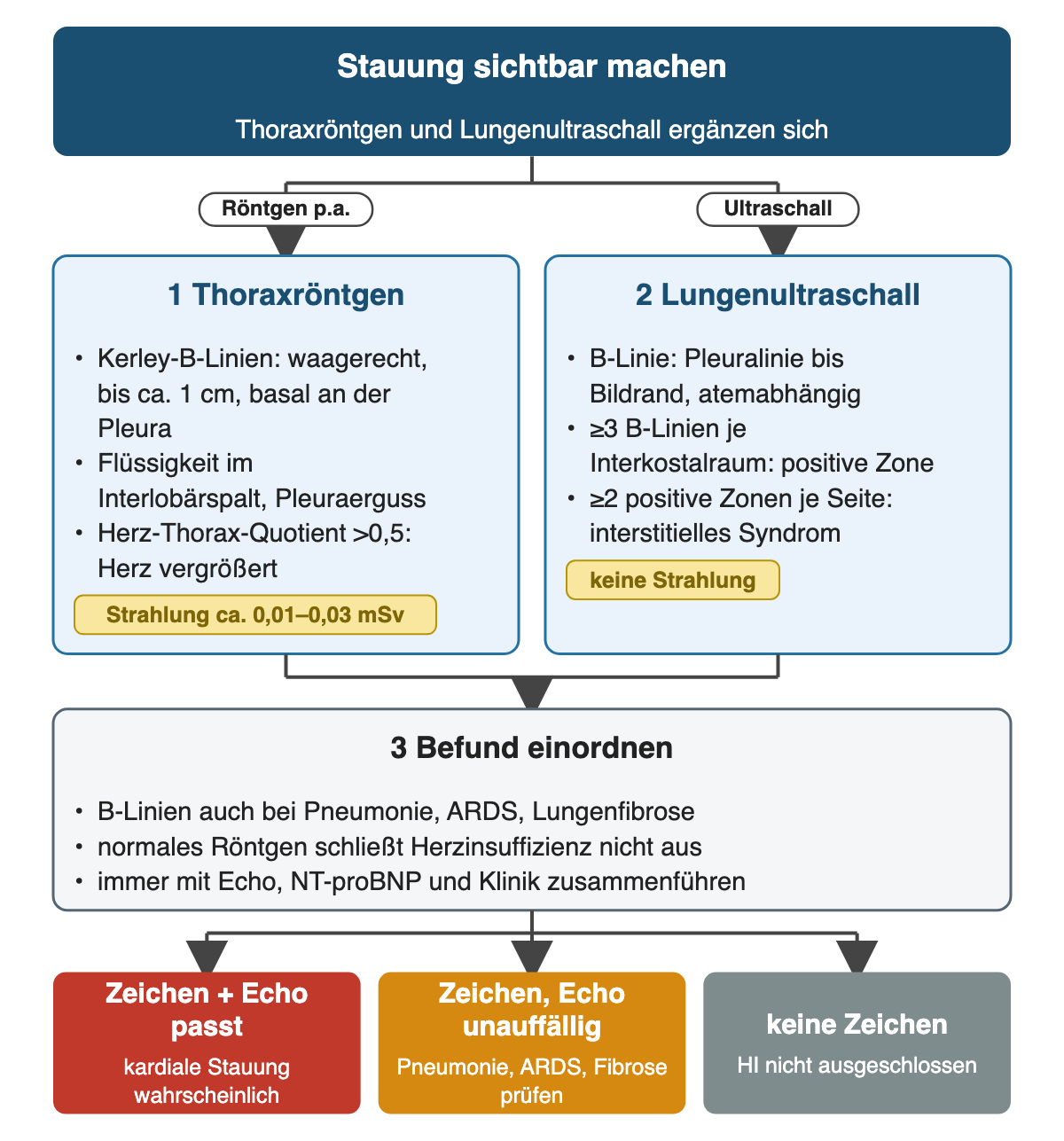 Röntgen und Lungenultraschall nebeneinander: Kerley-B-Linien bis etwa 1 cm, Interlobärspalt, Erguss, Herz-Thorax-Quotient über 0,5; im Ultraschall ab drei B-Linien je Interkostalraum eine positive Zone, ab zwei positiven Zonen je Seite interstitielles Syndrom. Einordnung mit Echo, NT-proBNP und Klinik; ein normales Röntgen schließt Herzinsuffizienz nicht aus.