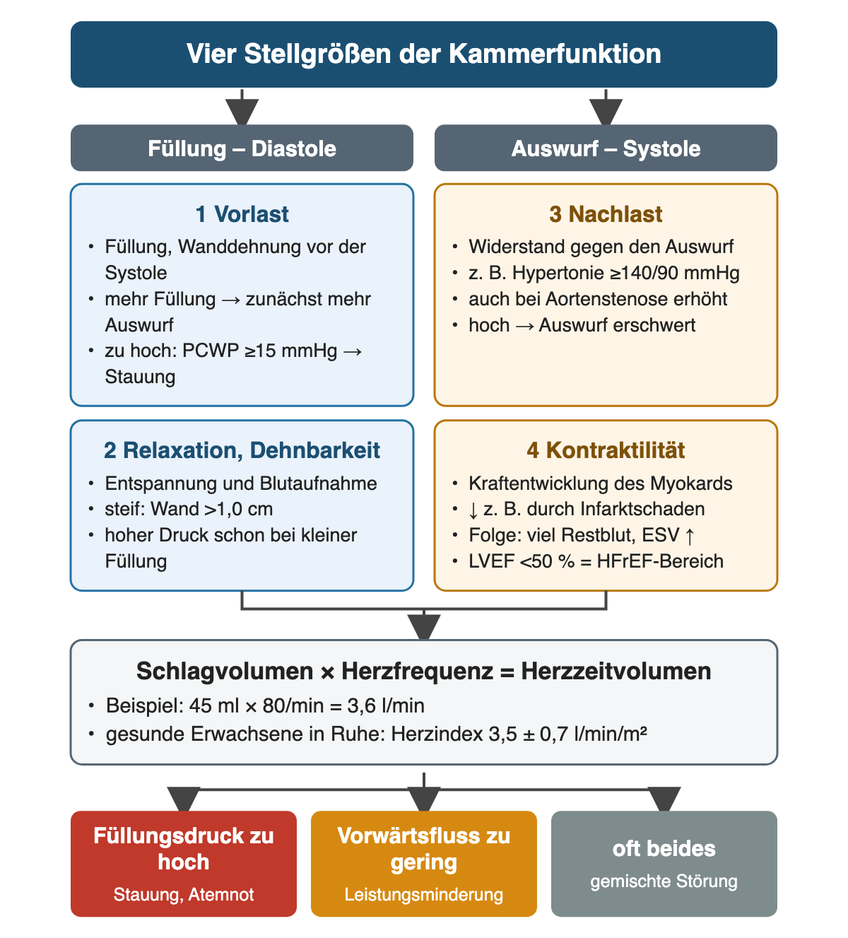 Links die Füllung in der Diastole mit Vorlast und Relaxation, rechts der Auswurf in der Systole mit Nachlast und Kontraktilität, jeweils mit Grenzwerten wie PCWP ab 15 mmHg, Hypertonie ab 140/90 mmHg, Wanddicke über 1,0 cm und LVEF unter 50 Prozent. Beide Seiten bestimmen Schlagvolumen mal Herzfrequenz gleich Herzzeitvolumen; Ergebnisfelder: Füllungsdruck zu hoch, Vorwärtsfluss zu gering oder beides.