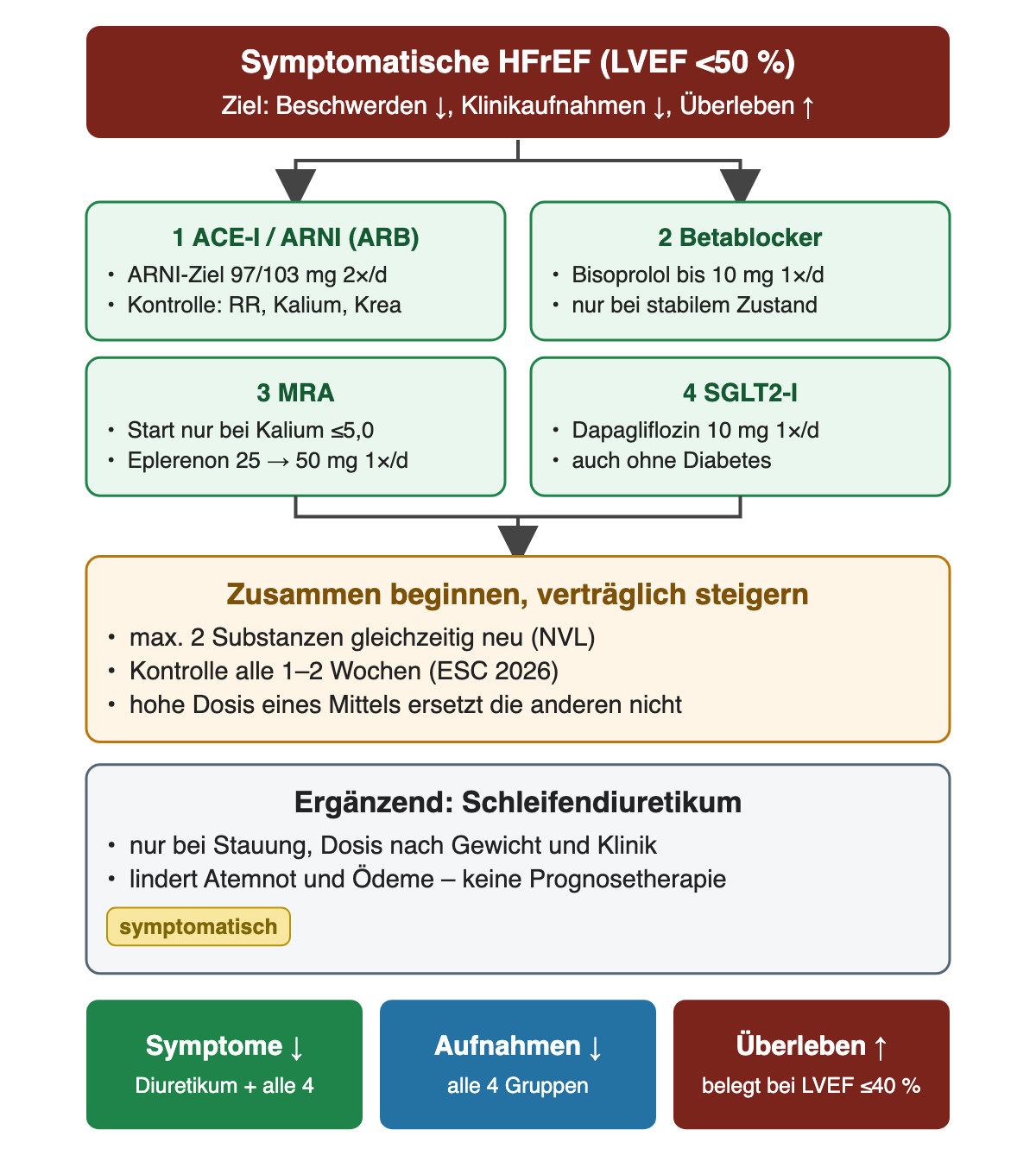 Von oben nach unten: symptomatische HFrEF mit den Zielen weniger Beschwerden, weniger Klinikaufnahmen und längeres Überleben; vier grüne Kästen für ACE-Hemmer oder ARNI, Betablocker, MRA und SGLT2-Inhibitor mit Beispieldosen; darunter gemeinsamer Beginn mit höchstens zwei neuen Substanzen und Kontrollen alle 1–2 Wochen, ergänzend das Schleifendiuretikum; unten drei farbige Ergebniskästen.