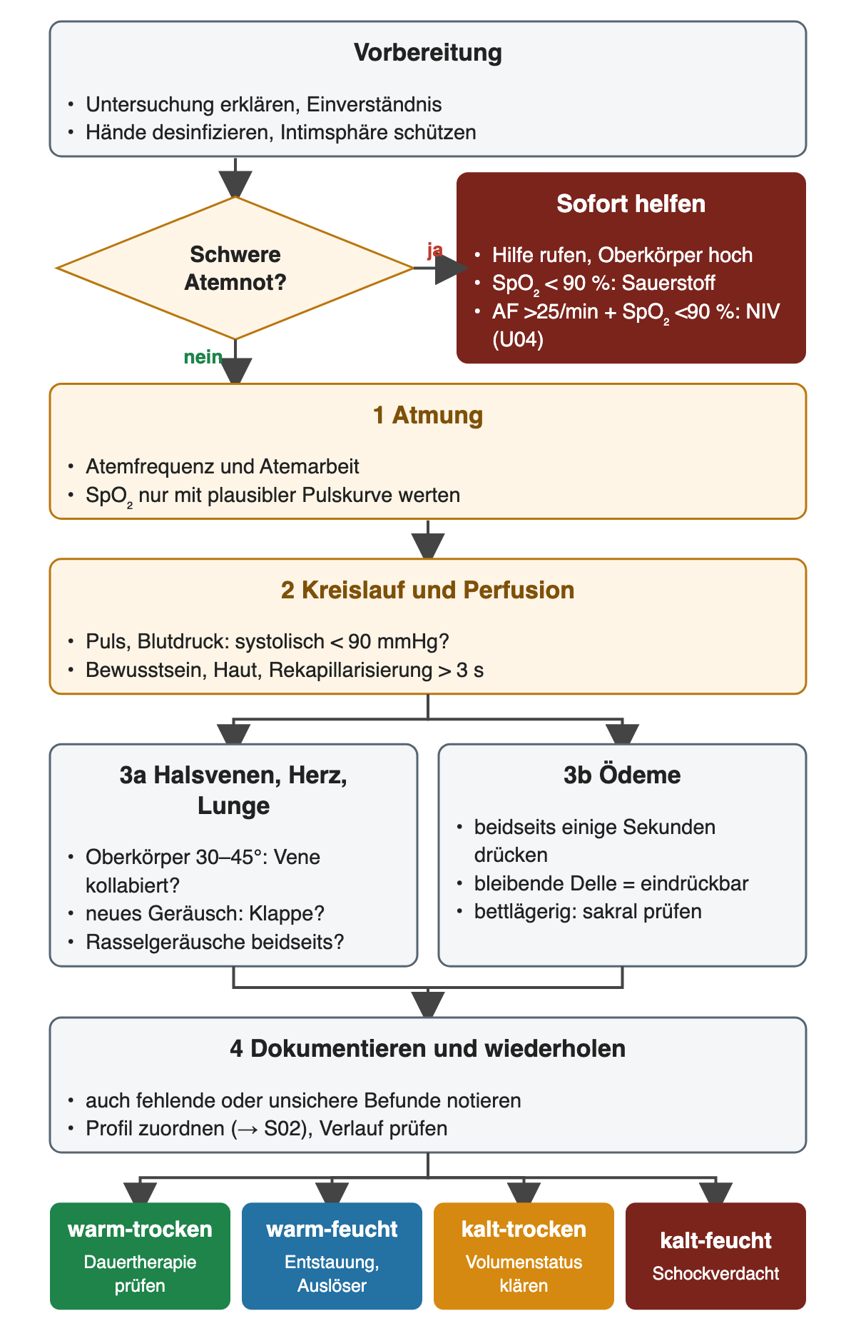 Nach der Vorbereitung (erklären, Einverständnis, Hände desinfizieren, Intimsphäre) fragt eine Raute nach schwerer Atemnot: ja führt zu „Sofort helfen“ mit Hilfe rufen, Oberkörper hoch, Sauerstoff bei SpO₂ unter 90 % und NIV bei Atemfrequenz über 25/min und SpO₂ unter 90 % erwägen. Nein führt zu 1 Atmung, 2 Kreislauf und Perfusion (systolisch unter 90 mmHg, Rekapillarisierung über 3 Sekunden), 3a Halsvenen, Herz und Lunge sowie 3b Ödeme beidseits und sakral, dann zu 4 Dokumentieren. Die farbige Ergebniszeile ordnet warm-trocken, warm-feucht, kalt-trocken und kalt-feucht zu.