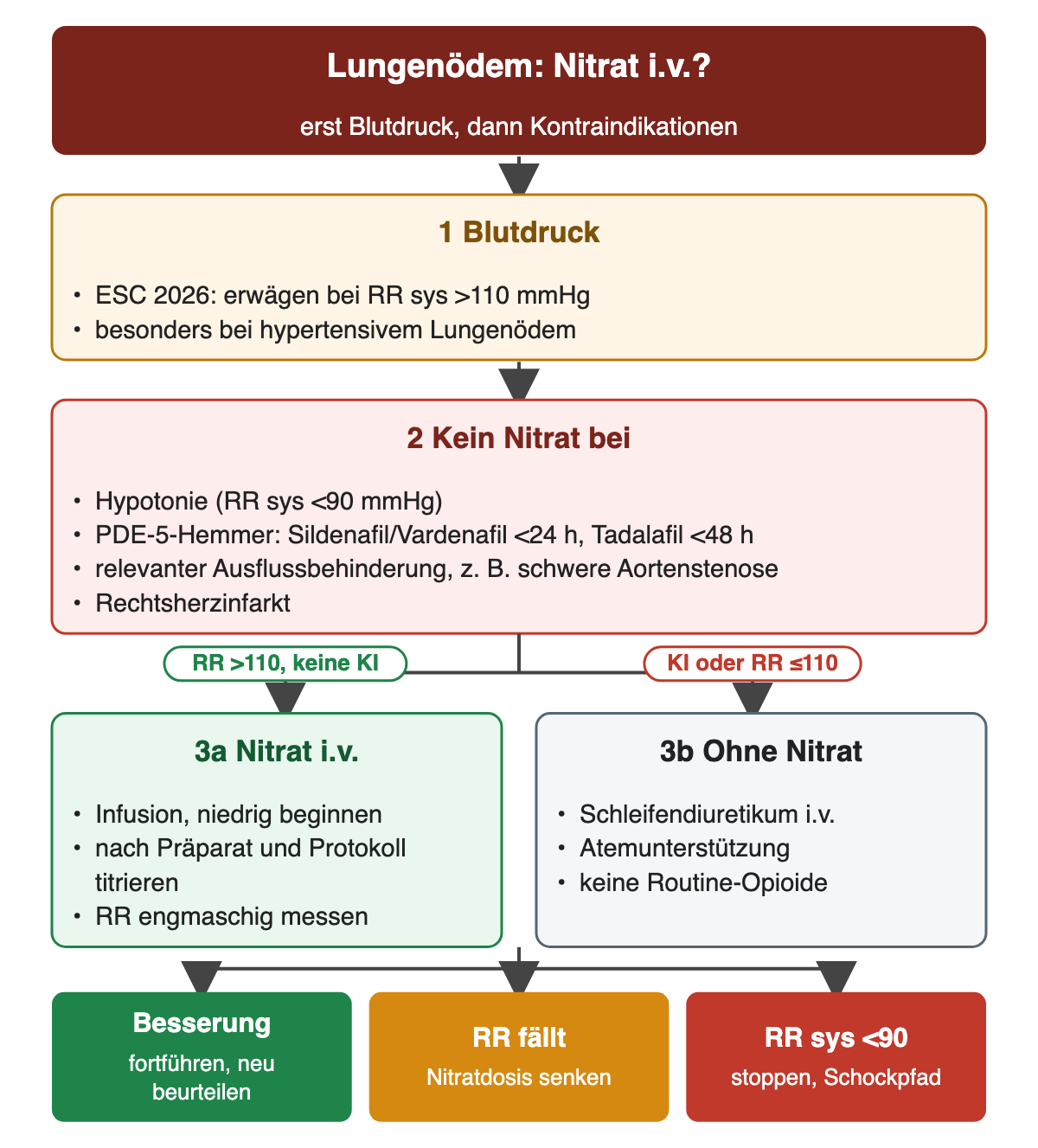 Oben Frage nach Nitrat i.v. beim Lungenödem; zuerst Blutdruck mit Schwelle systolisch über 110 mmHg, dann Kontraindikationen (Hypotonie unter 90 mmHg, PDE-5-Hemmer innerhalb 24 beziehungsweise 48 Stunden, Ausflussbehinderung, Rechtsherzinfarkt); Verzweigung in Nitrat i.v. oder Behandlung ohne Nitrat; unten drei farbige Verlaufsfelder.