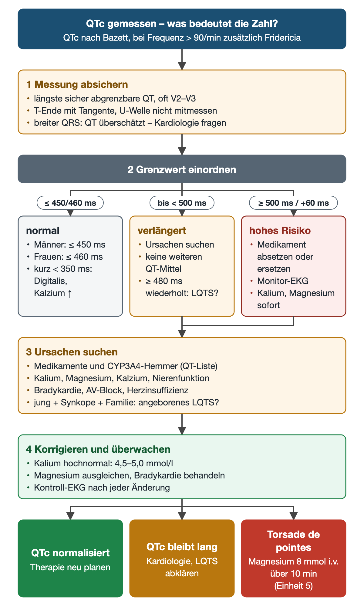 Flussdiagramm Vorgehen bei gemessener QTc: Schritt 1 Messung absichern, Schritt 2 drei Äste mit Grenzwerten bis 450 beziehungsweise 460 Millisekunden normal, bis unter 500 Millisekunden verlängert, ab 500 Millisekunden oder Anstieg um 60 Millisekunden hohes Risiko; Schritt 3 Ursachen, Schritt 4 Korrektur mit Kalium 4,5 bis 5,0 mmol/l; unten drei Ergebnisse bis zur Torsade de pointes mit Magnesium 8 mmol über 10 Minuten