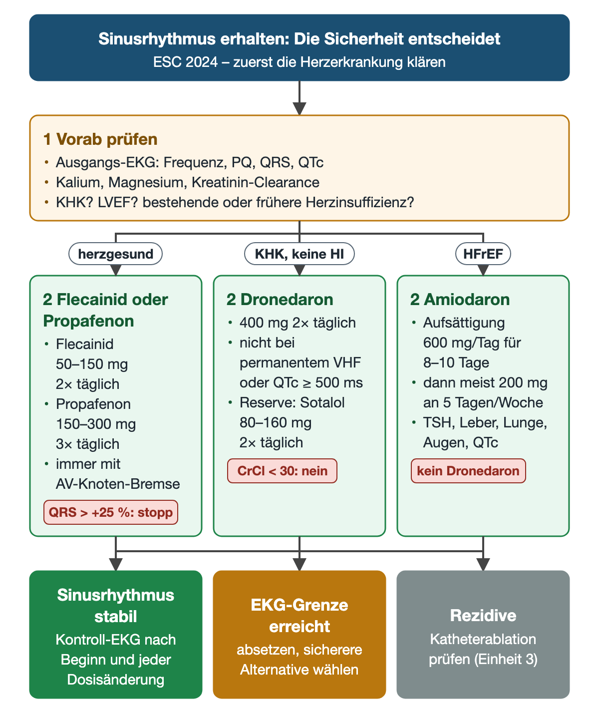 Flussdiagramm zur Auswahl beim Erhalt des Sinusrhythmus: Schritt 1 Vorabprüfung mit EKG, Elektrolyten, Kreatinin-Clearance und Herzerkrankung; drei Äste herzgesund, KHK ohne Herzinsuffizienz und HFrEF führen zu Flecainid oder Propafenon, Dronedaron mit Sotalol als Reserve und Amiodaron, jeweils mit Dauerdosis und Warnhinweis; unten drei farbige Ergebnisse bis zur Katheterablation