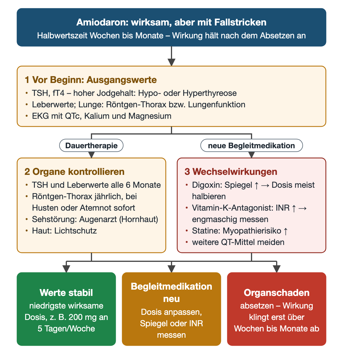 Flussdiagramm Amiodaron: oben die lange Halbwertszeit; Schritt 1 Ausgangswerte mit TSH und fT4, Leberwerten, Lunge, EKG mit QTc, Kalium und Magnesium; dann zwei Äste: Organkontrollen mit TSH und Leberwerten alle 6 Monate, Röntgen-Thorax jährlich, Augenarzt bei Sehstörung, Lichtschutz, sowie Wechselwirkungen mit Digoxin, Vitamin-K-Antagonisten, Statinen und weiteren QT-Mitteln; unten drei farbige Ergebnisse