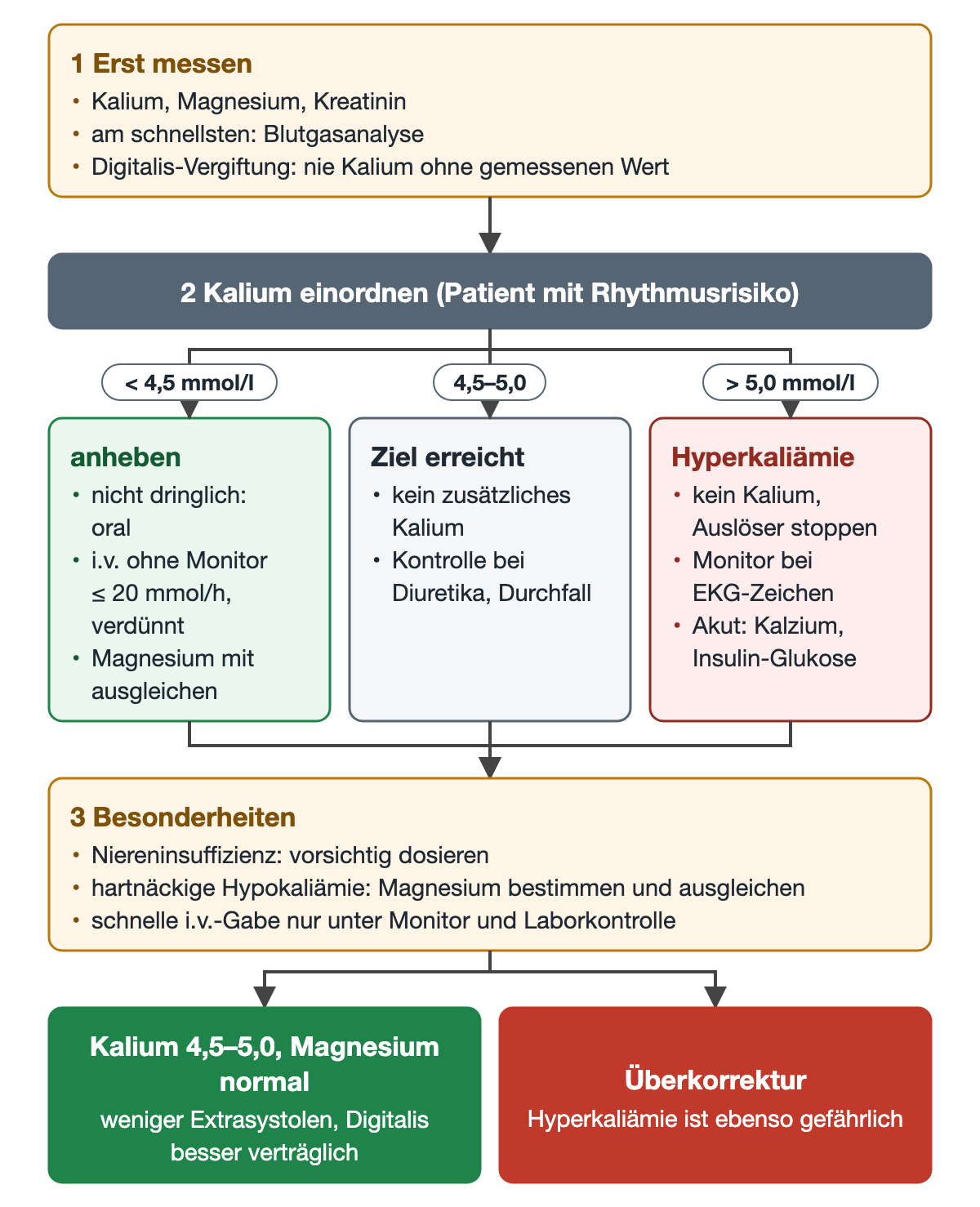 Flussdiagramm Kaliumausgleich: Schritt 1 erst messen, Schritt 2 drei Äste nach Kalium unter 4,5 anheben mit höchstens 20 mmol/h ohne Monitor, 4,5 bis 5,0 Ziel erreicht, über 5,0 Hyperkaliämie ohne Kaliumgabe; Schritt 3 Besonderheiten mit Niere und Magnesium; unten zwei Ergebnisse Ziel erreicht und Überkorrektur