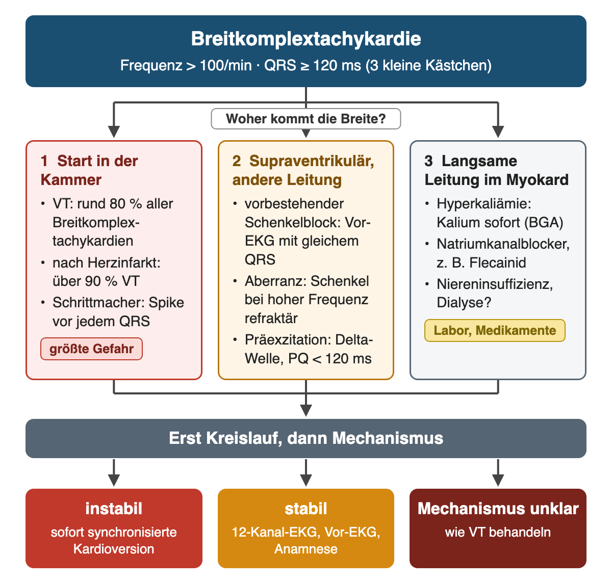 Flussdiagramm: Breitkomplextachykardie mit Frequenz über 100 pro Minute und QRS ab 120 Millisekunden verzweigt in drei Ursachengruppen – Start in der Kammer, supraventrikulär mit anderer Leitung, langsame Leitung im Myokard – und endet in der Reihenfolge erst Kreislauf, dann Mechanismus.