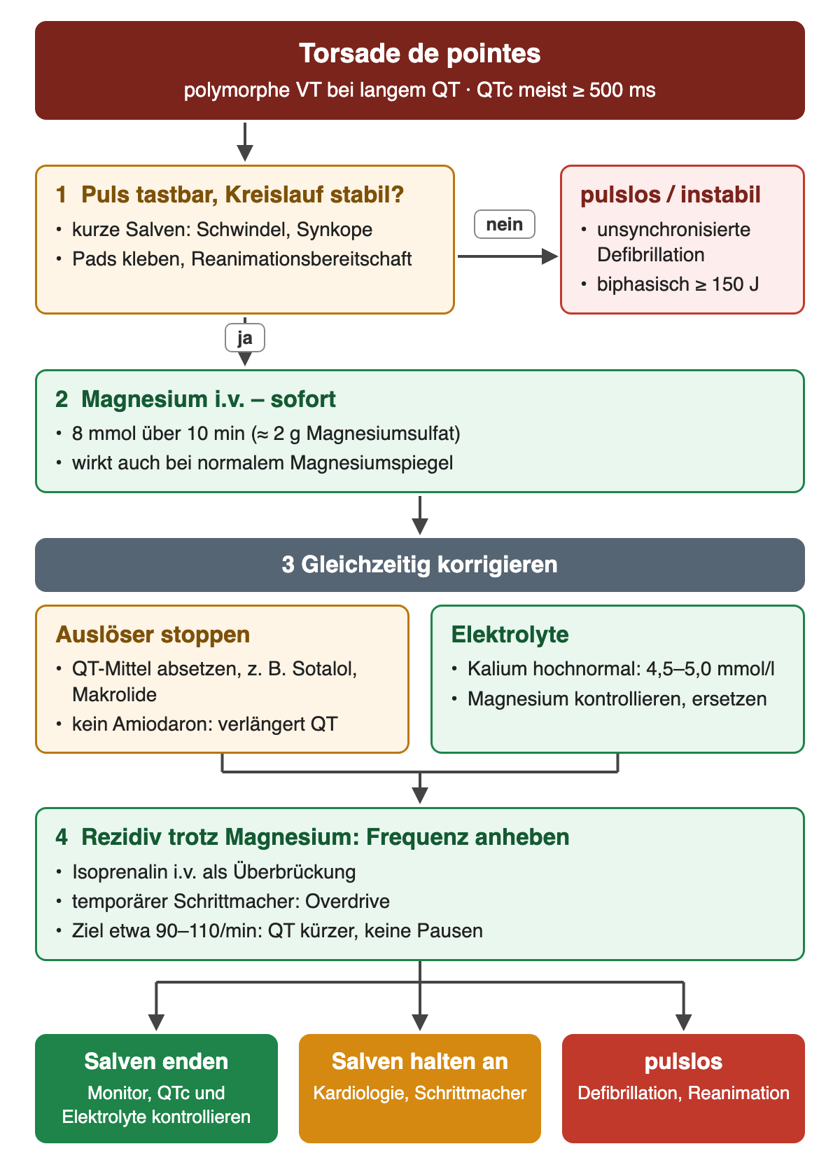 Flussdiagramm Torsade de pointes in vier Schritten: Puls und Kreislauf mit Abzweig zur unsynchronisierten Defibrillation, Magnesium 8 mmol über 10 Minuten, gleichzeitig Auslöser stoppen und Kalium auf 4,5 bis 5,0 mmol/l, bei Rezidiv Frequenz auf etwa 90 bis 110 pro Minute anheben; Ergebnisreihe mit drei Verläufen.